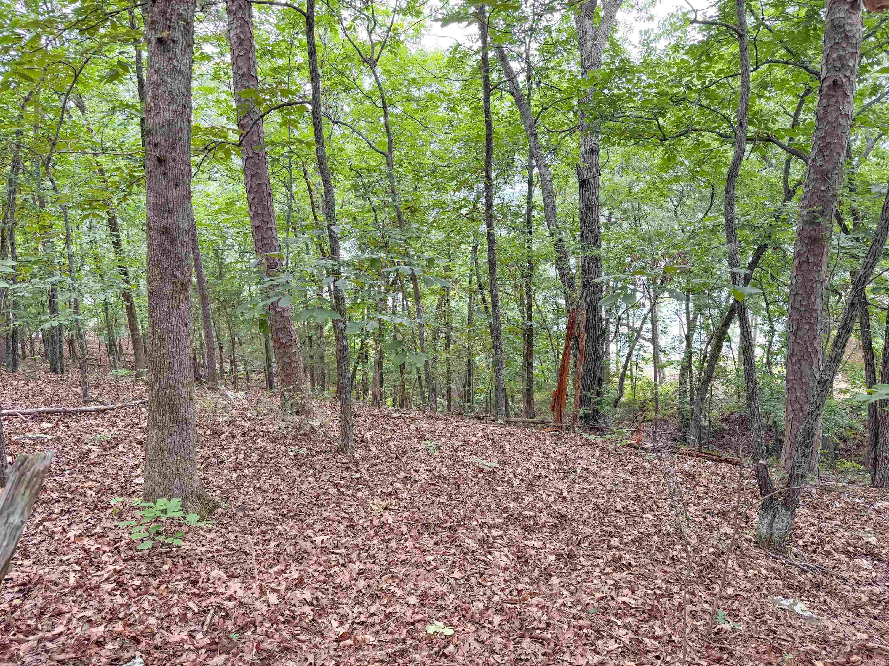 609 Lakefront  Quitman, AR