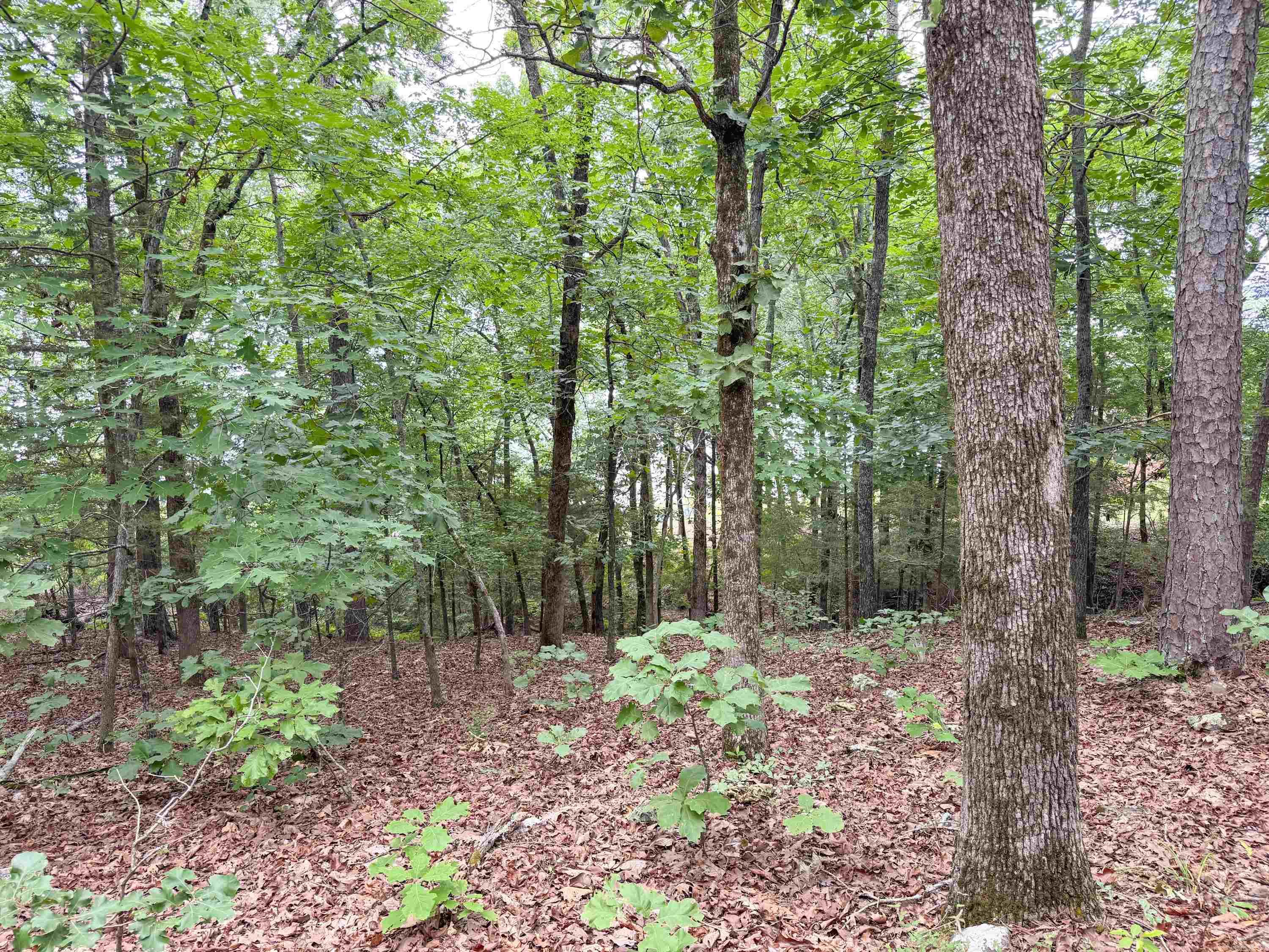 609 Lakefront  Quitman, AR