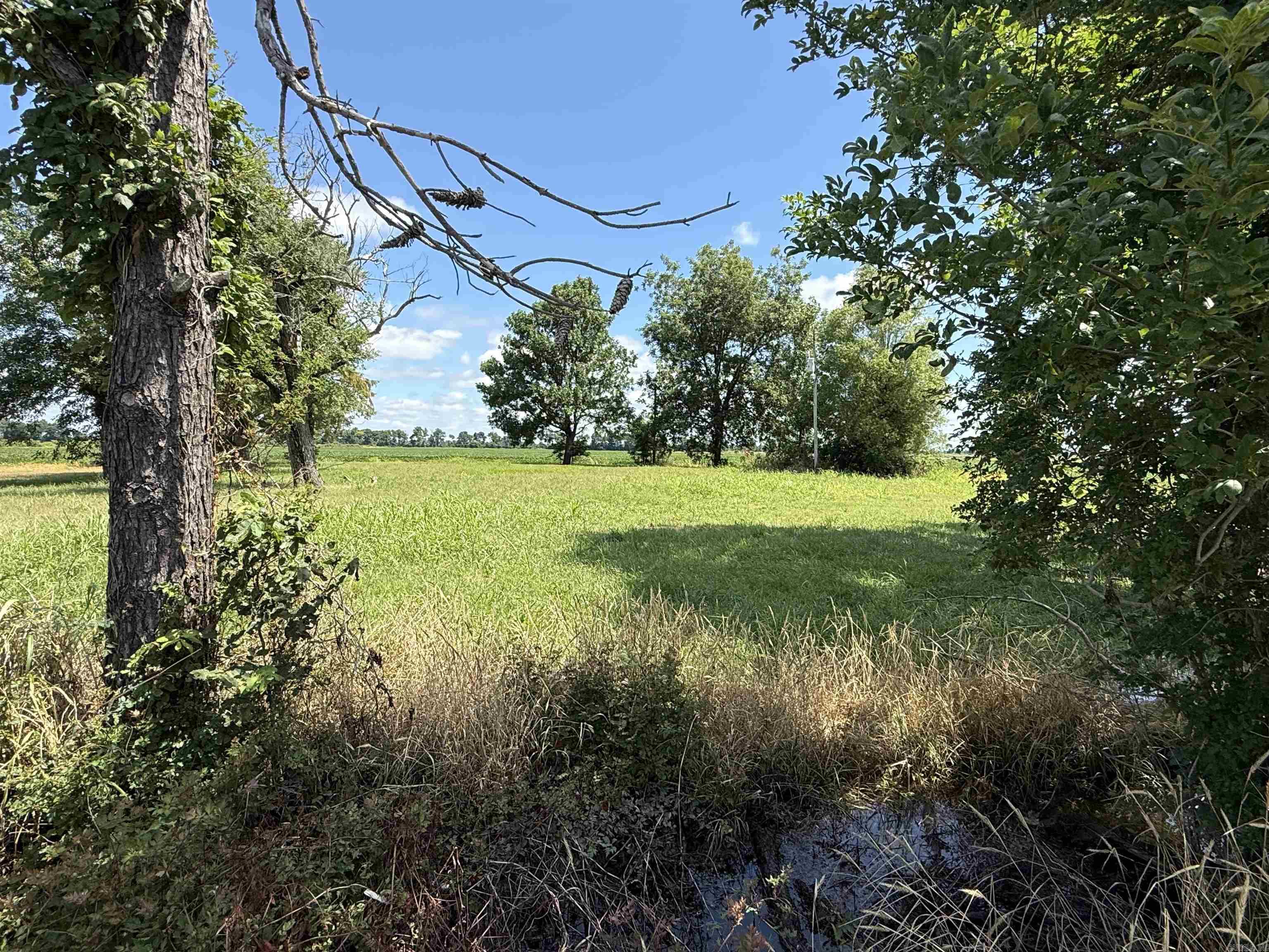 31767 North Rd.  Marked Tree, AR