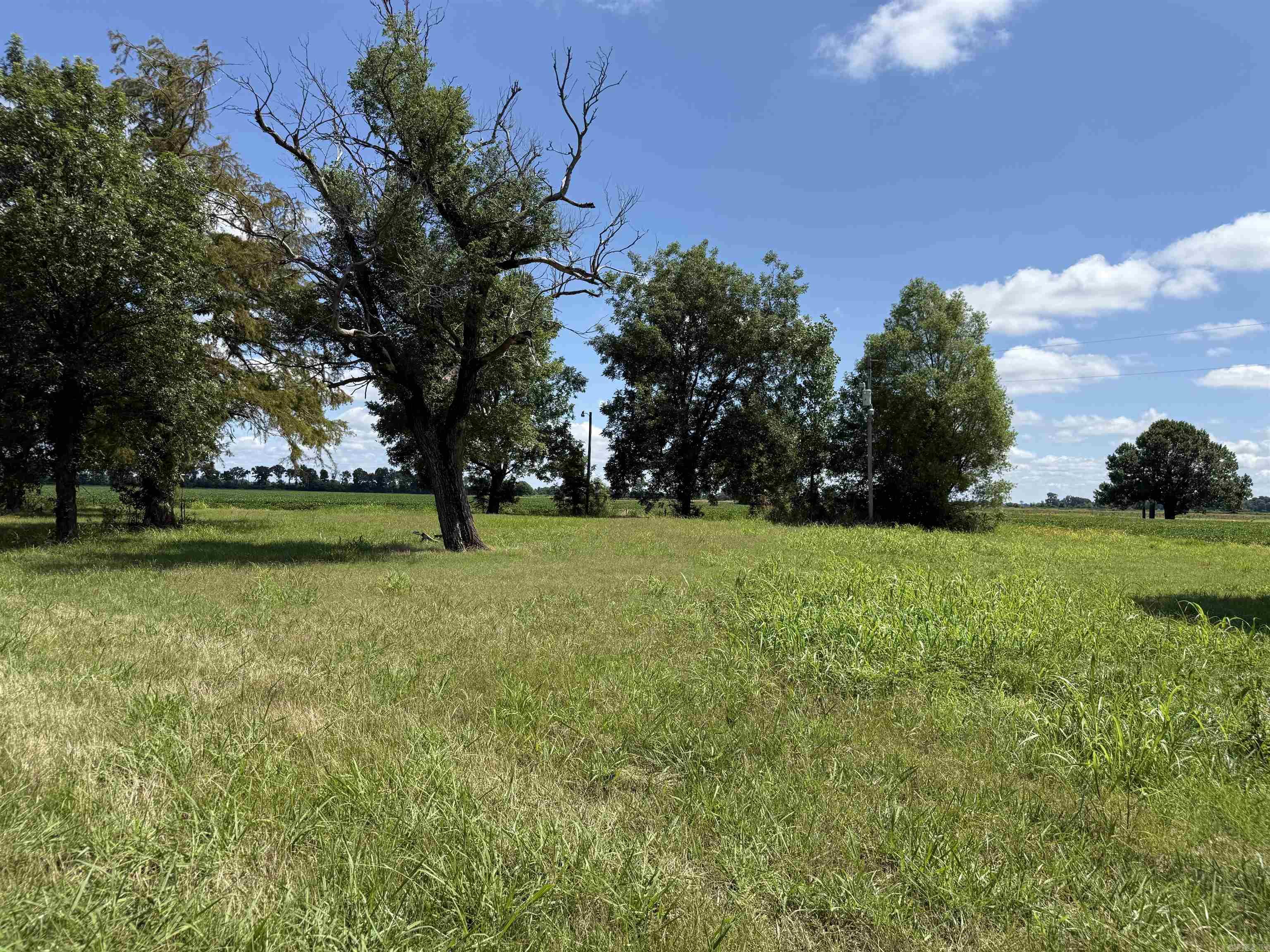 31767 North Rd.  Marked Tree, AR
