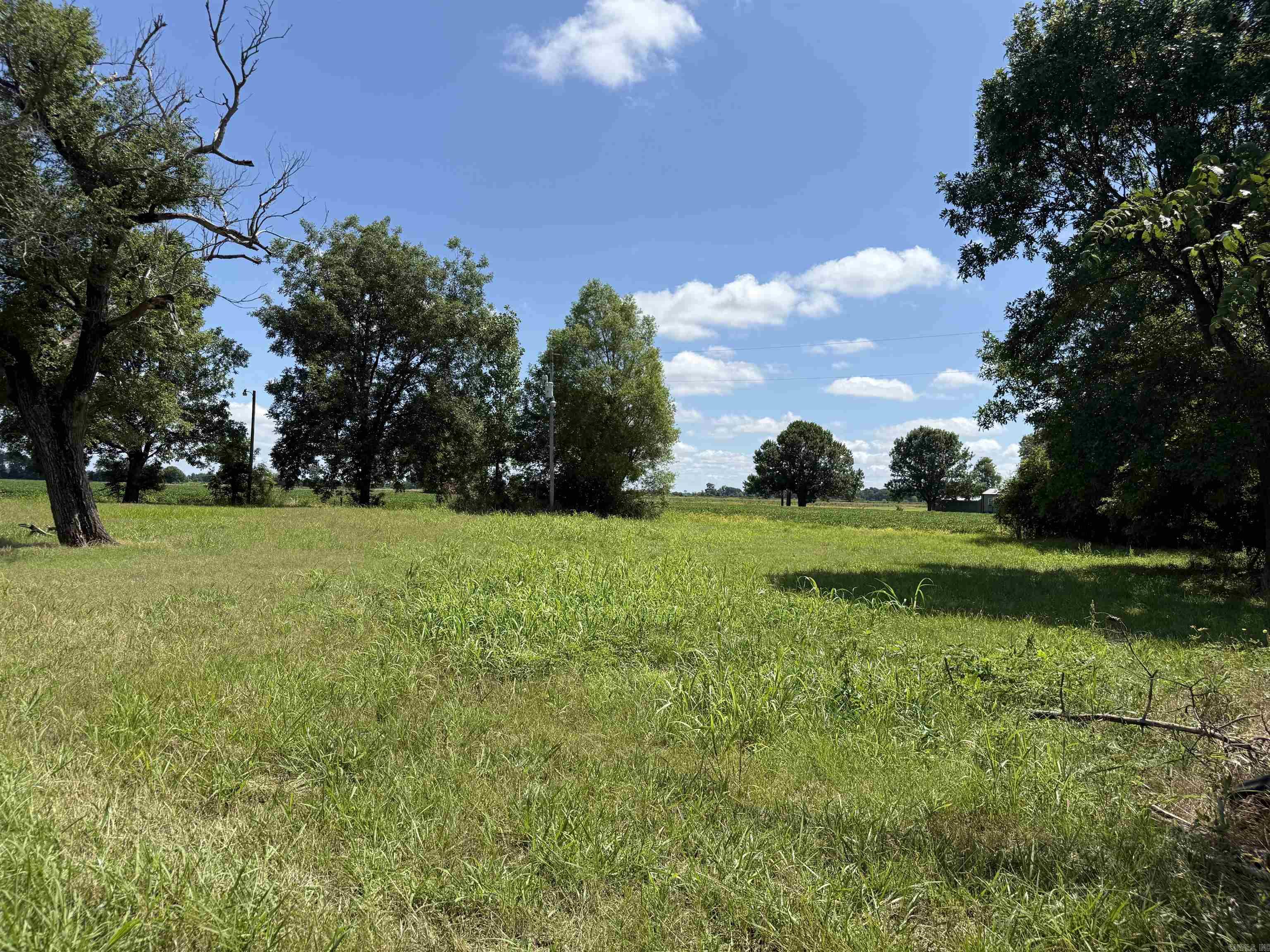 31767 North Rd.  Marked Tree, AR