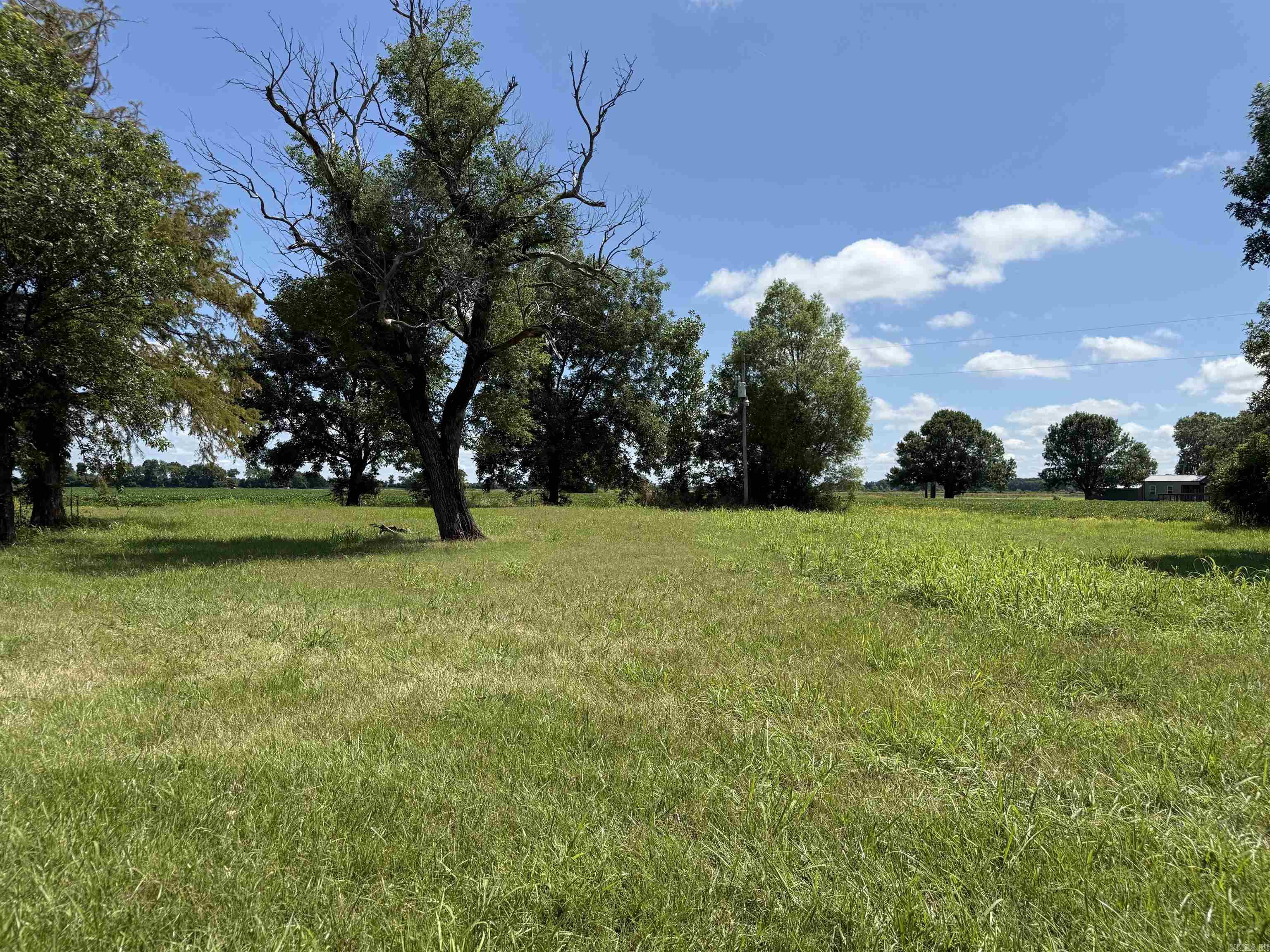 31767 North Rd.  Marked Tree, AR