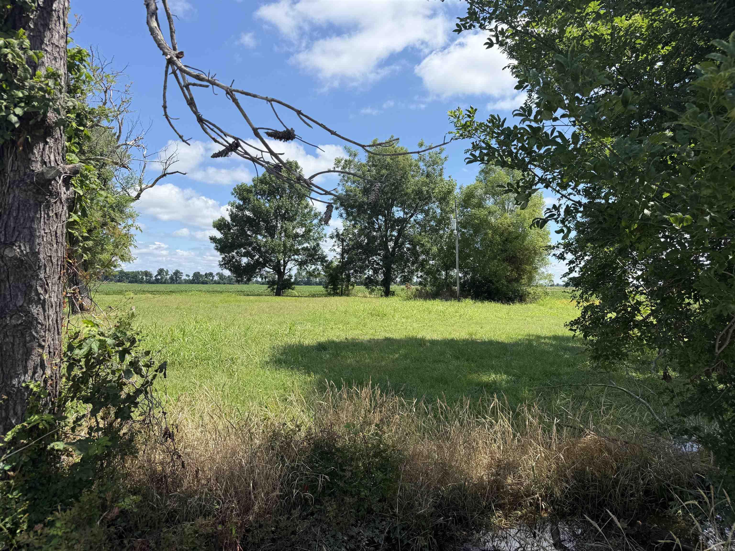 31767 North Rd.  Marked Tree, AR