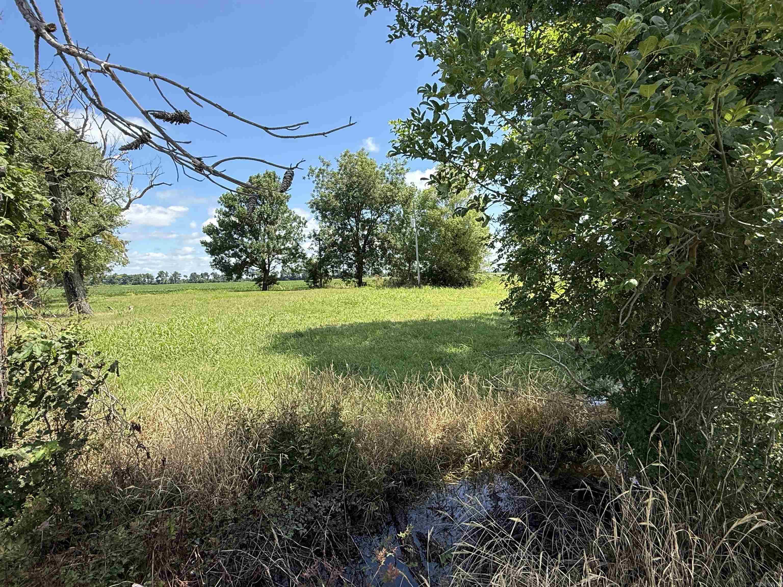 31767 North Rd.  Marked Tree, AR