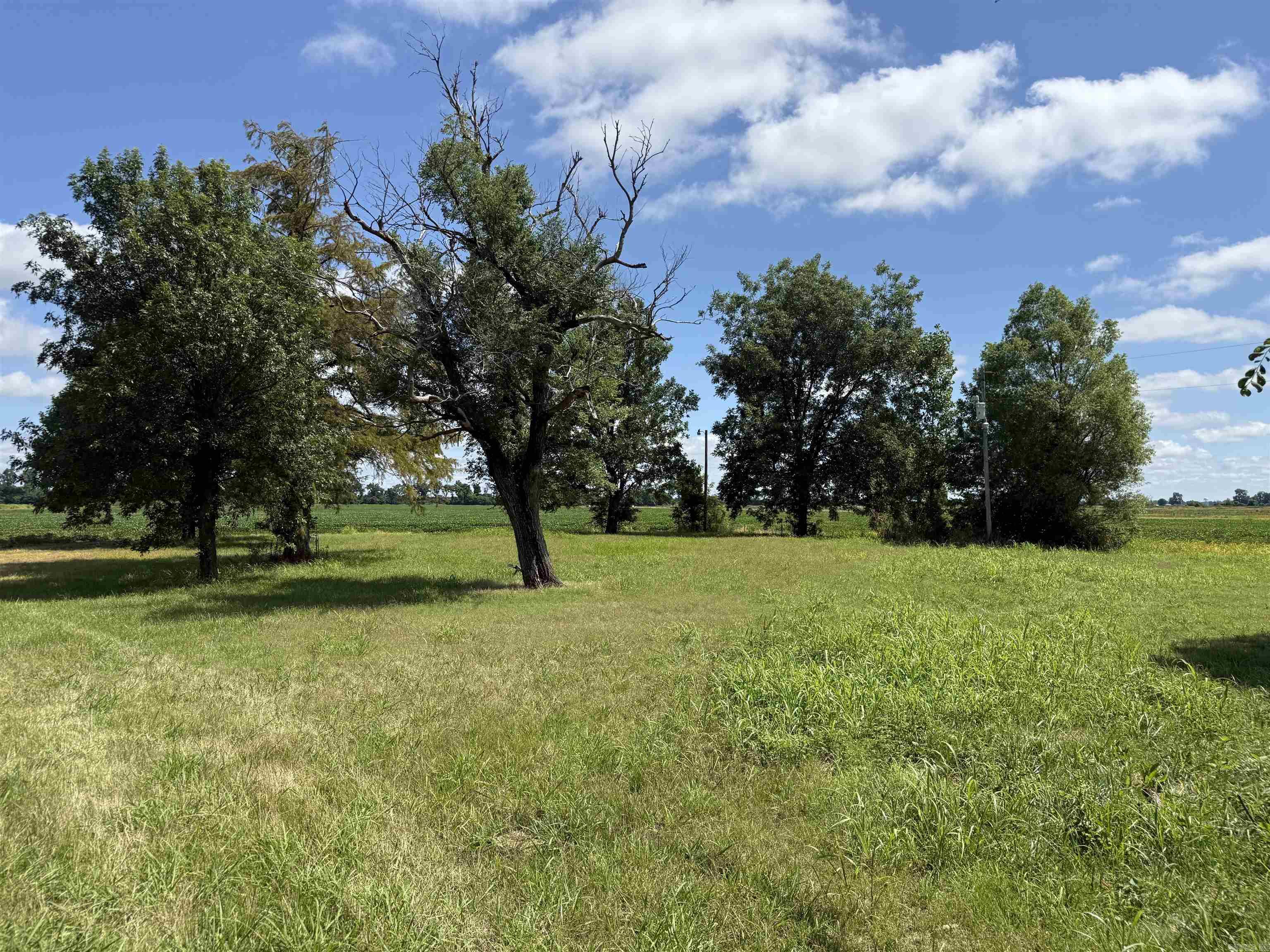 31767 North Rd.  Marked Tree, AR