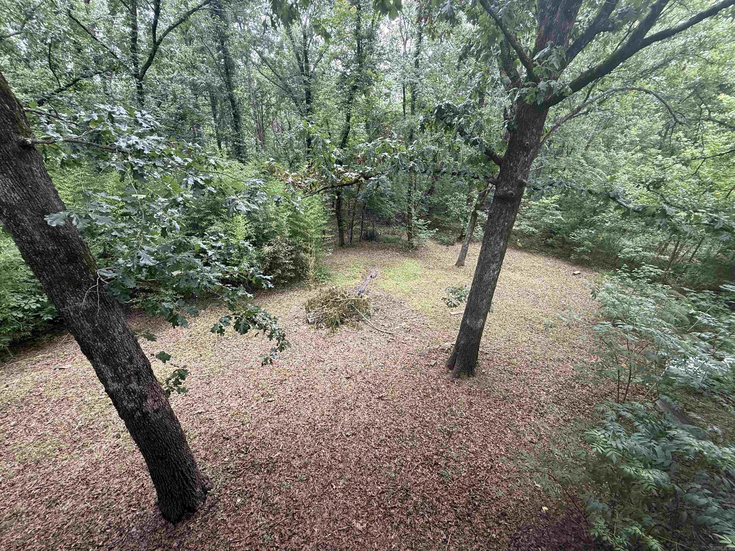 230 riverview  Fairfield Bay, AR