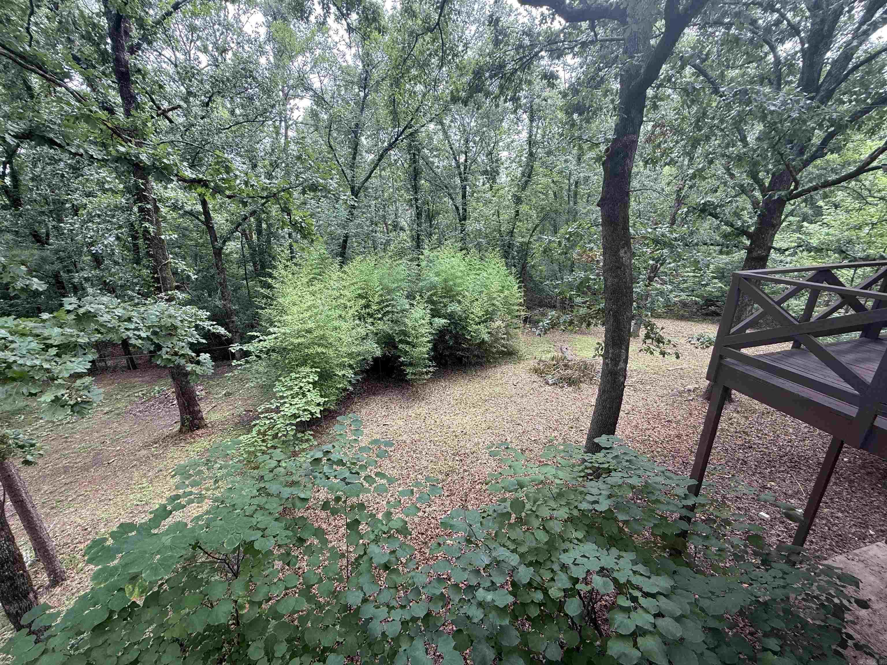 230 riverview  Fairfield Bay, AR