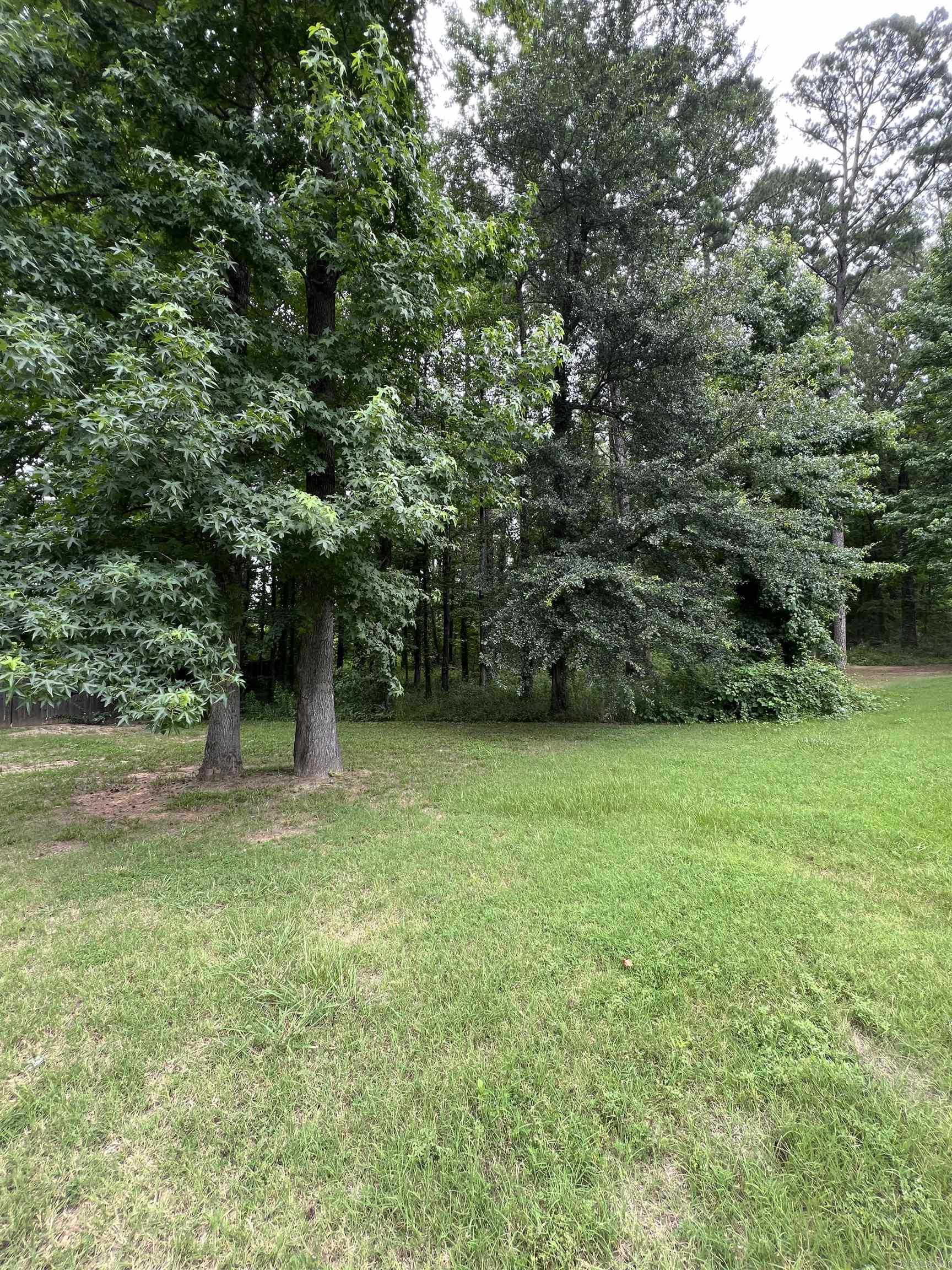 9999 Dawson Cove Lot 4 Mayflower, AR