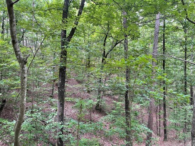 TBD Polk Road 61 Lot #1 Mena, AR