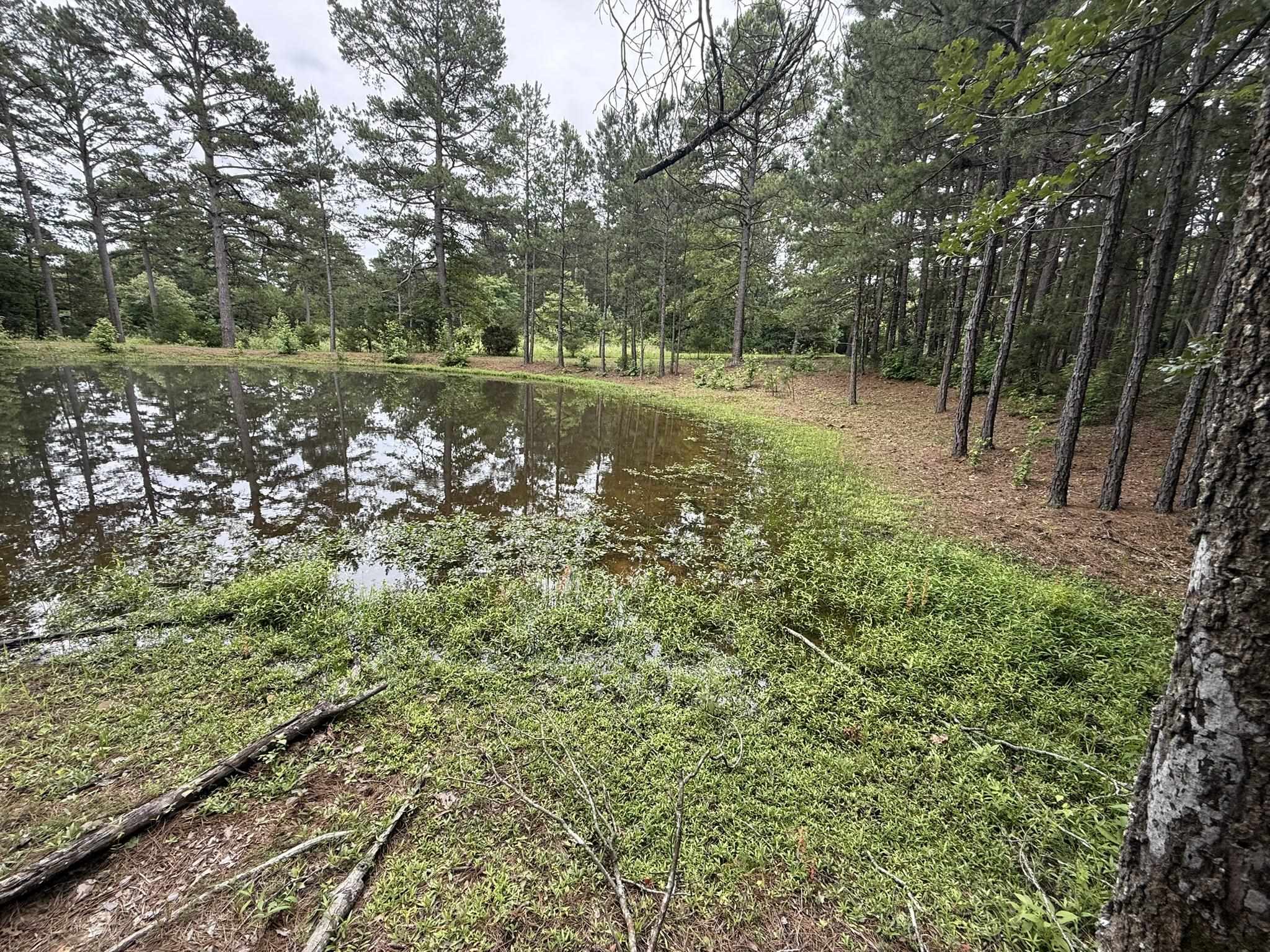 2923 W AR Hwy 58  Melbourne, AR