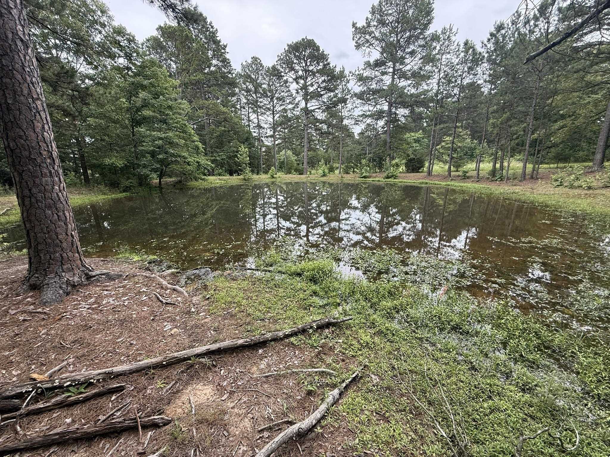 2923 W AR Hwy 58  Melbourne, AR