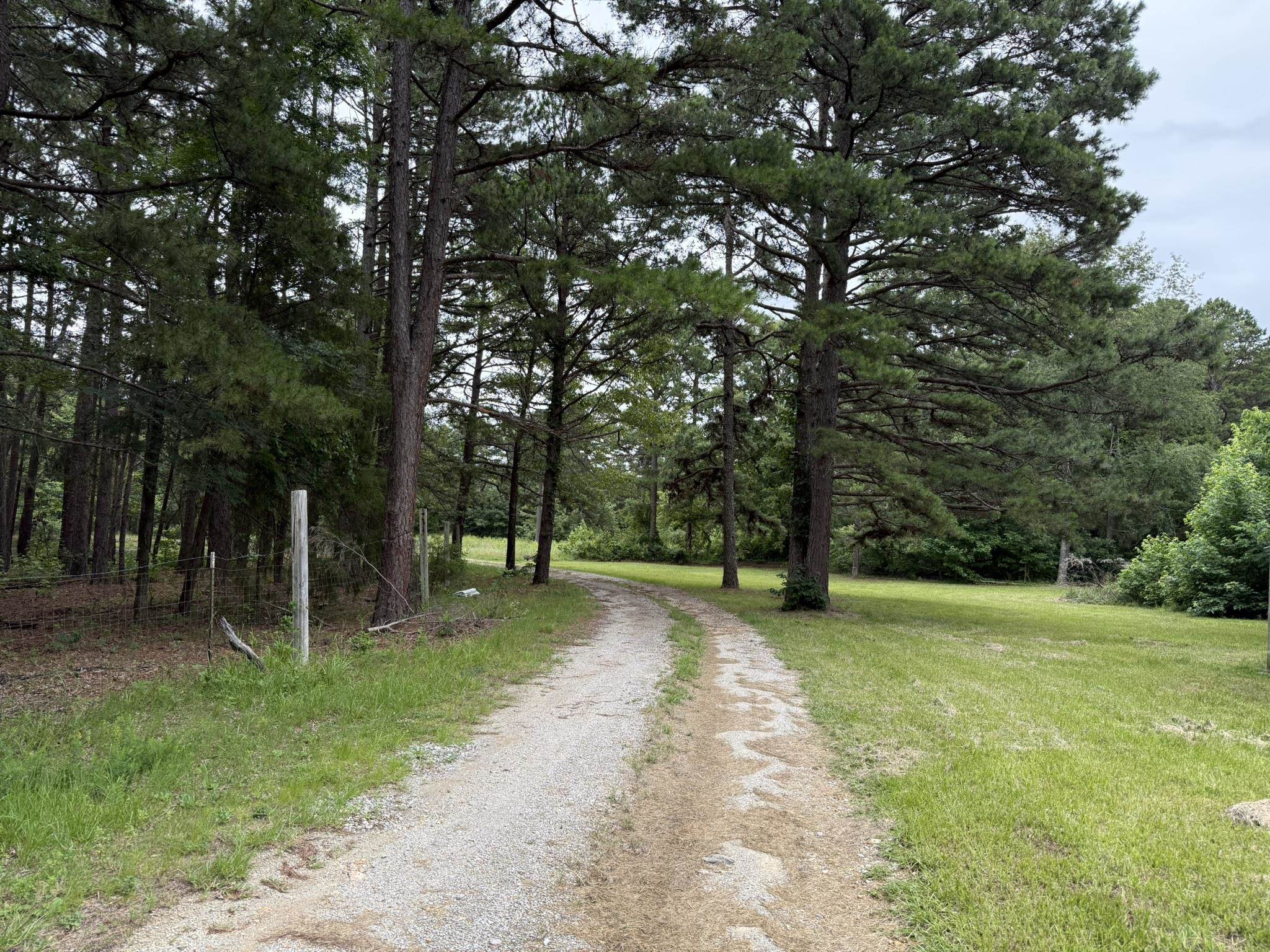 2923 W AR Hwy 58  Melbourne, AR