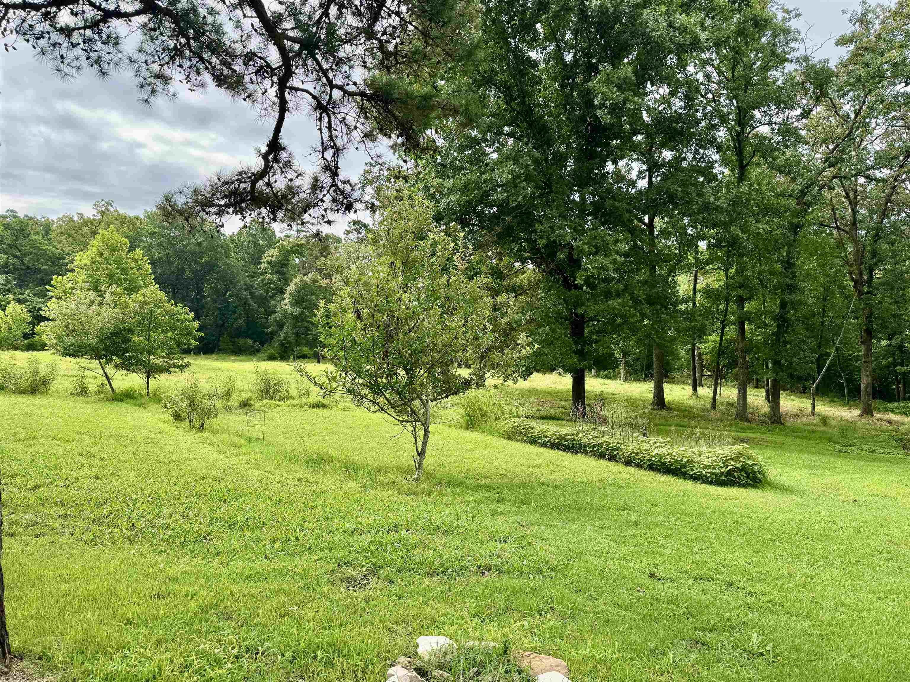 343 S Lacey Street  Melbourne, AR