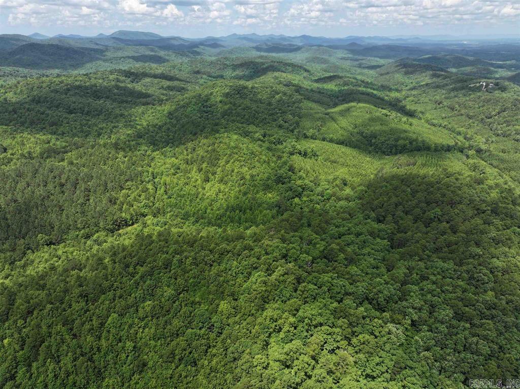 TBD Polk Road 61 Lot 10 Mena, AR