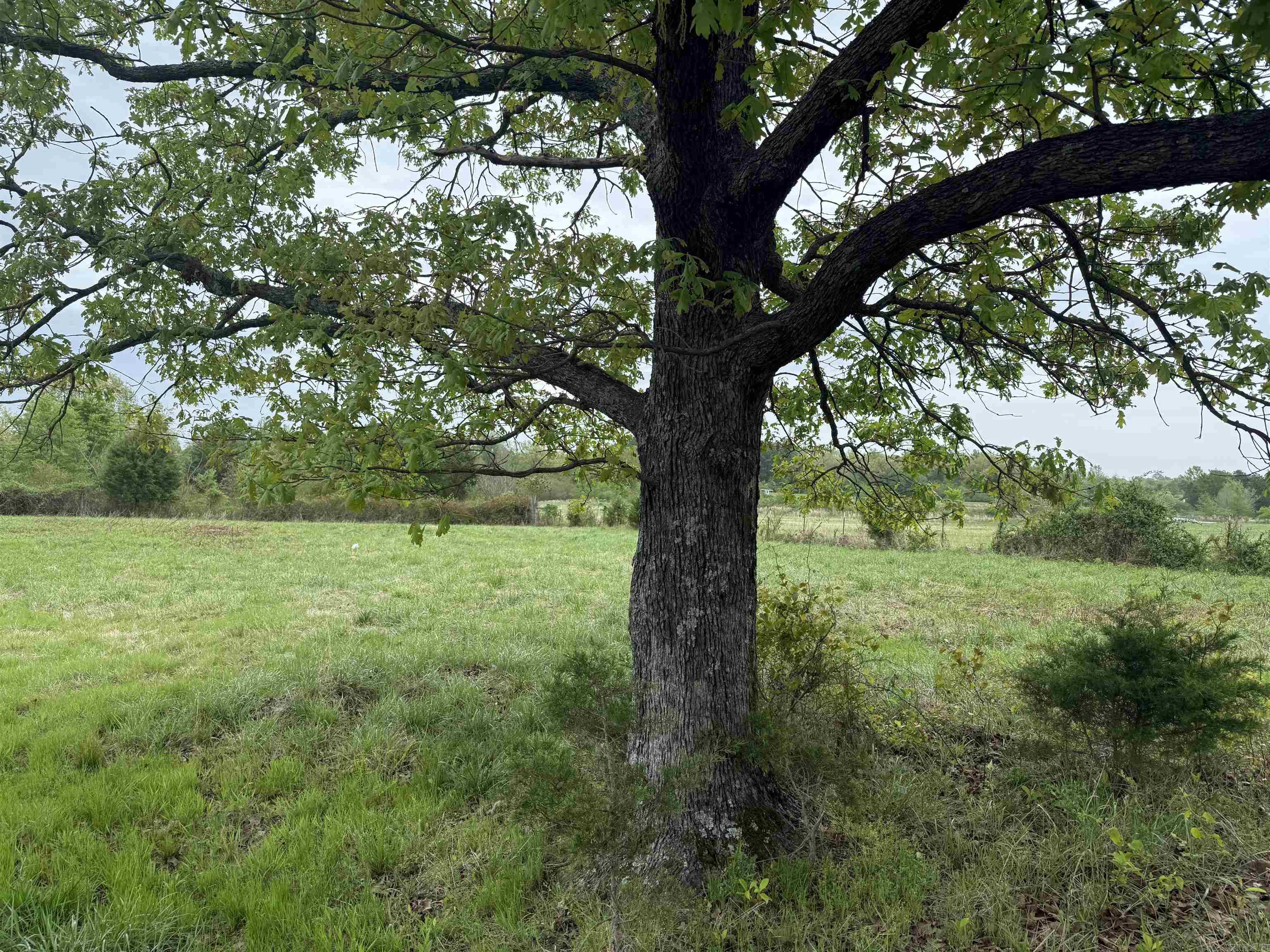 0000 lot 7 goff  Quitman, AR
