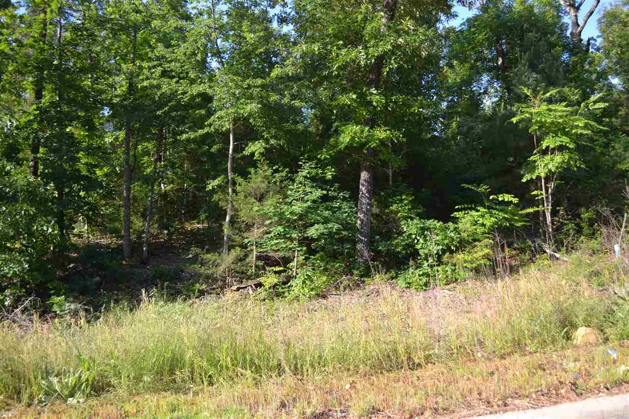 Lot 3 Knifechief  Cabot, AR