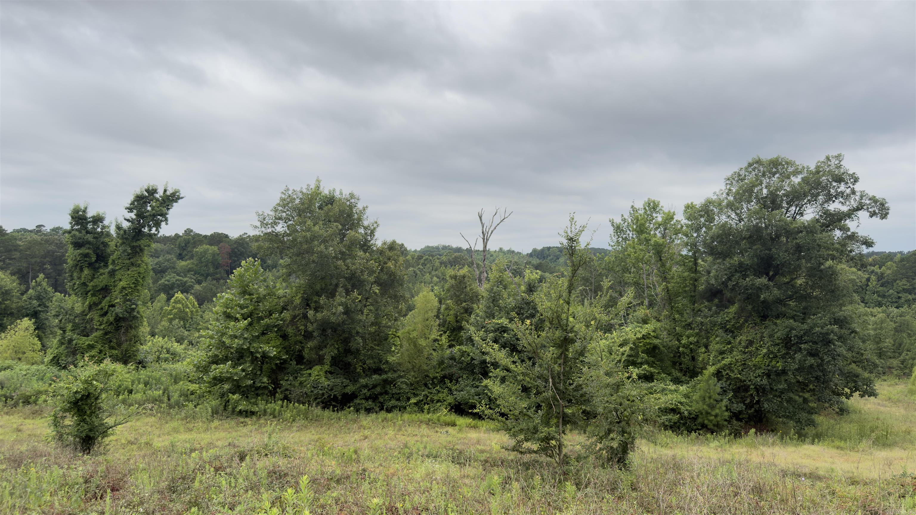 80 Acres Hwy 41  De Queen, AR
