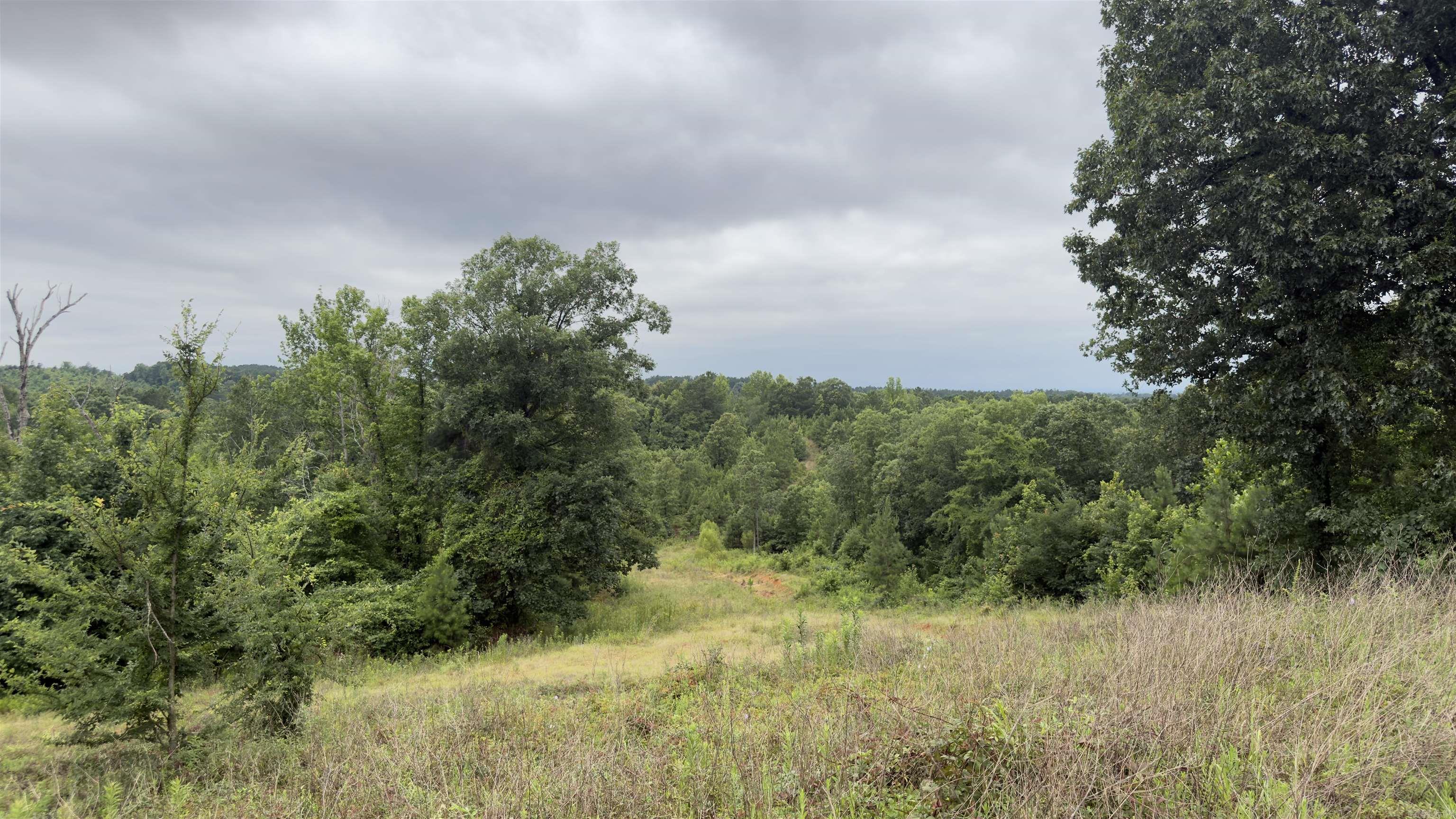 80 Acres Hwy 41  De Queen, AR