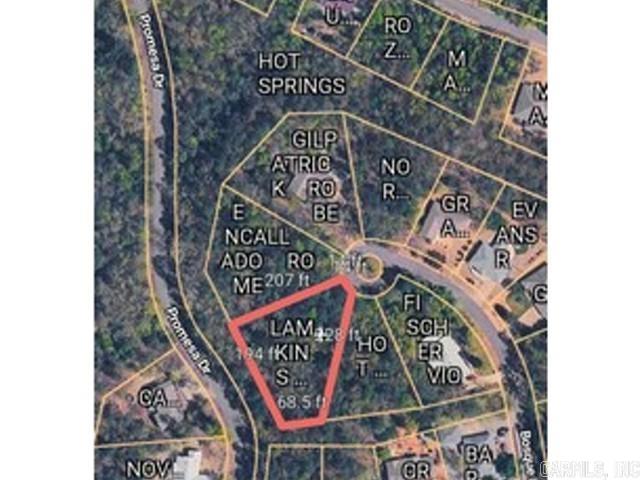 9 Bosque  Hot Springs Village, AR