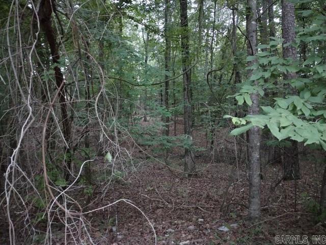 9 Bosque  Hot Springs Village, AR