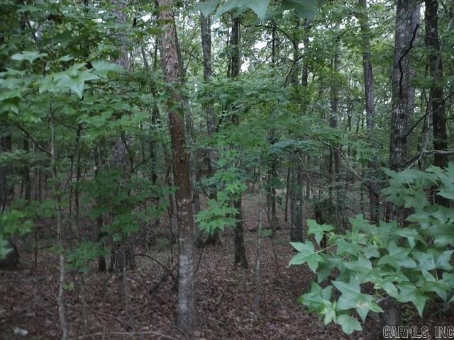 9 Bosque  Hot Springs Village, AR