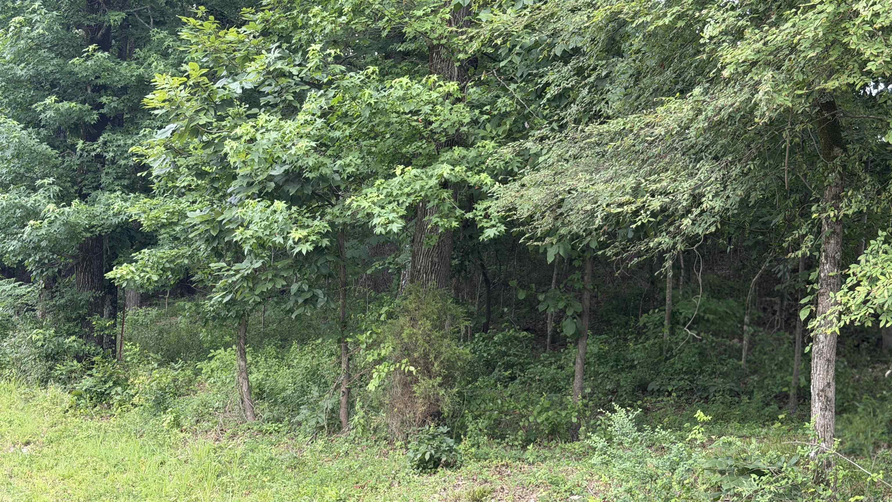 000 Buffington Road  Benton, AR