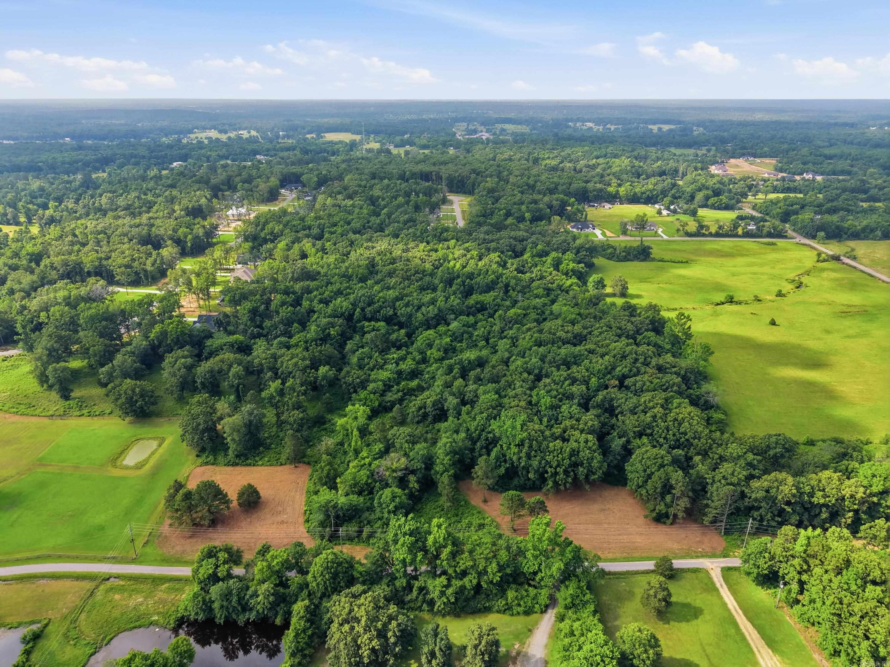 1317 Annie Brown Road  Alexander, AR