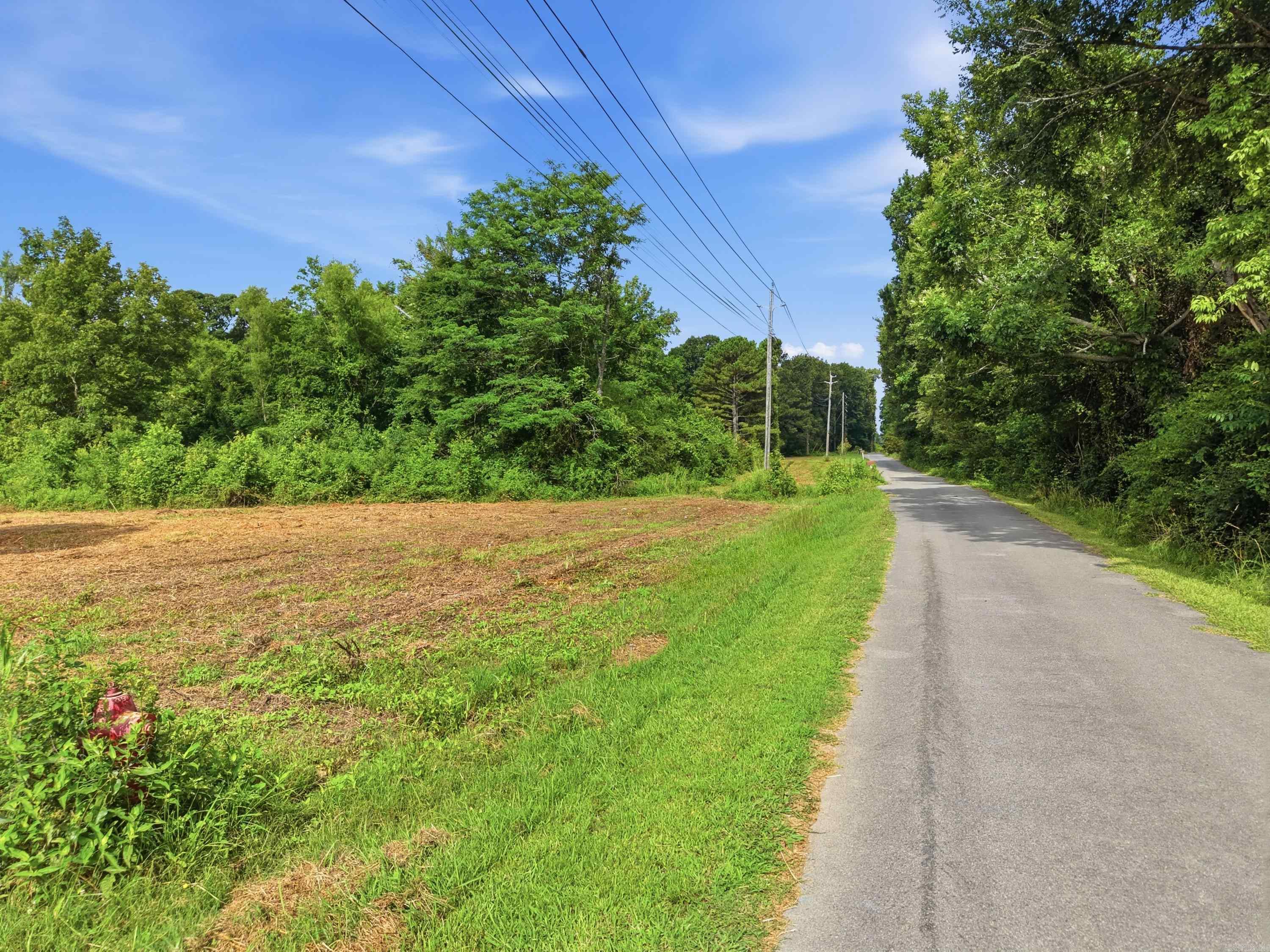 1599 Annie Brown Road  Alexander, AR