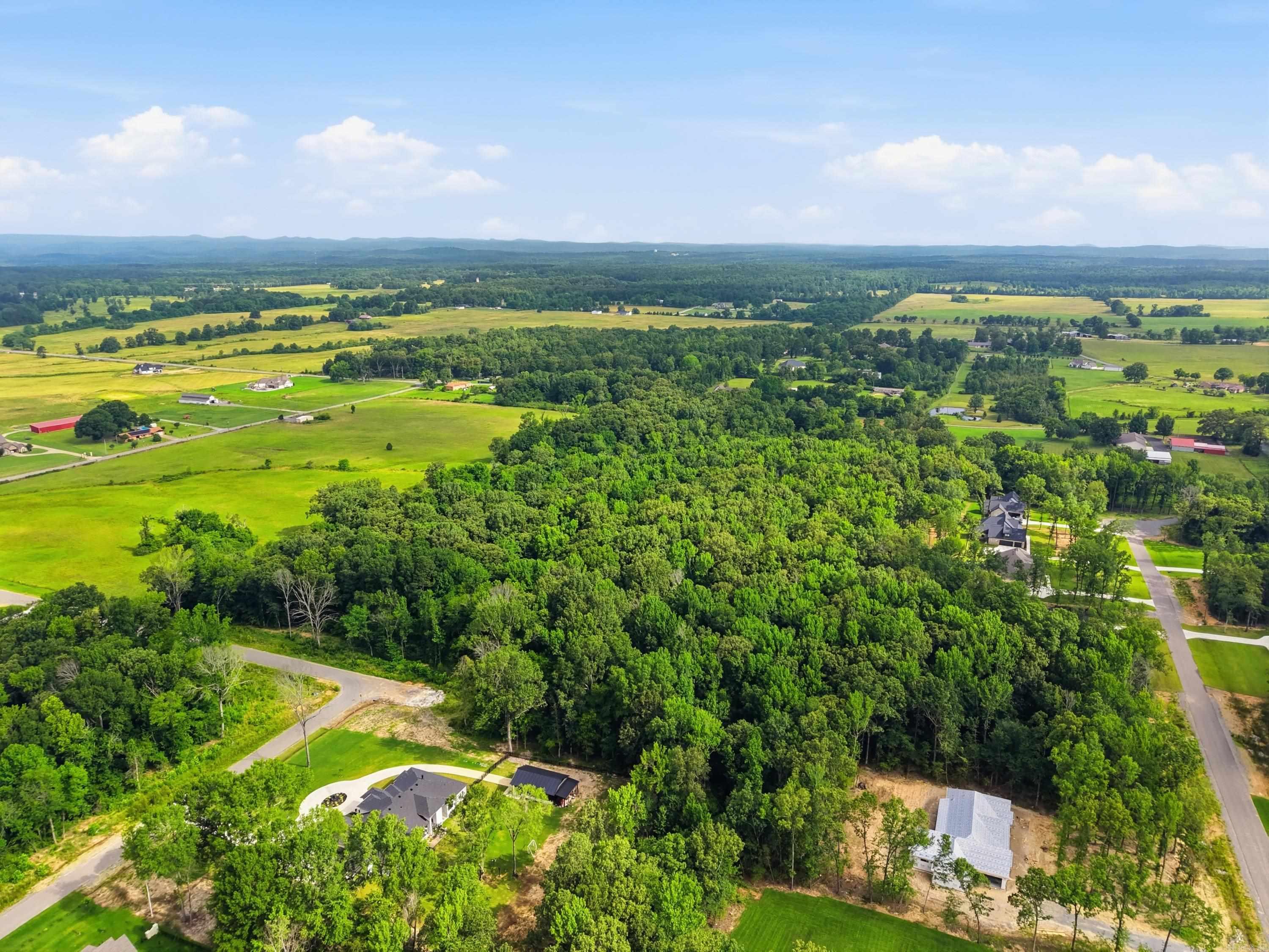 1524 Annie Brown Road  Alexander, AR