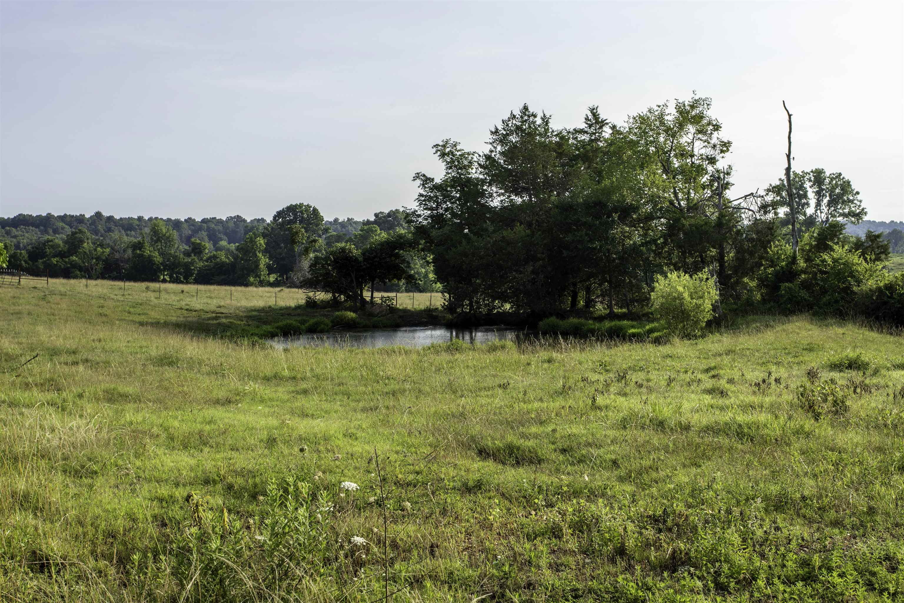 21141 Highway 90  Ravenden, AR