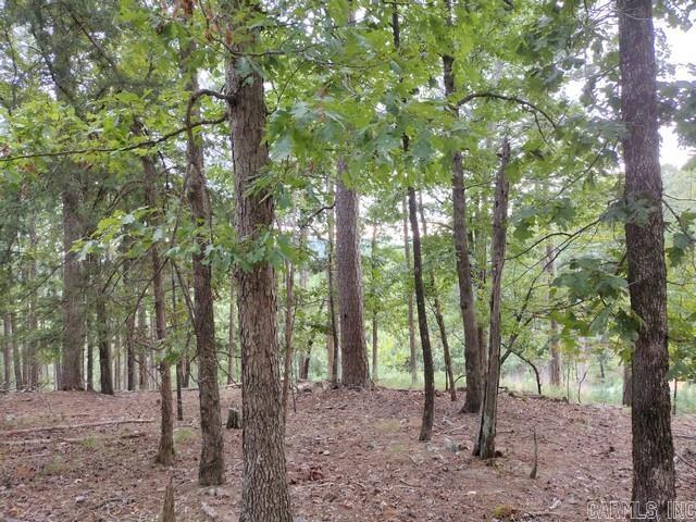 85 Mesero  Hot Springs Village, AR