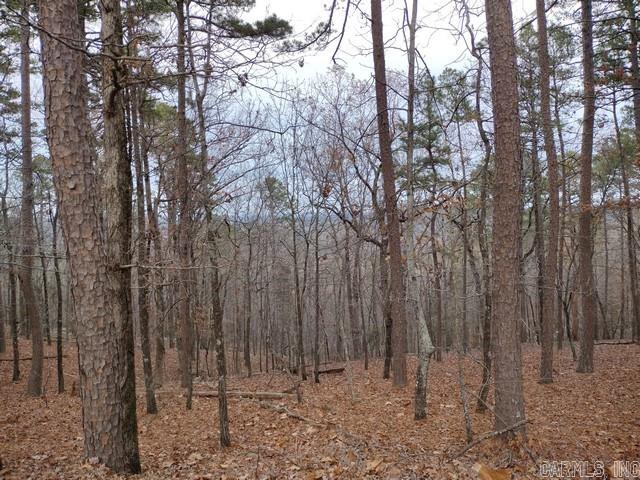 102 Mesero  Hot Springs Village, AR