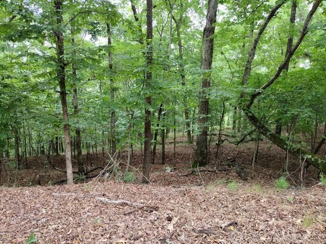 11 Nisa  Hot Springs Village, AR