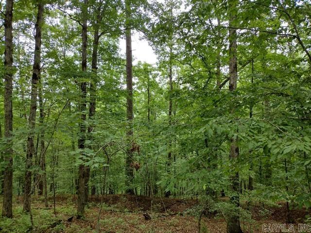 11 Nisa  Hot Springs Village, AR