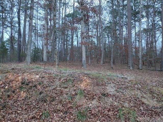 71 Gancho  Hot Springs Village, AR