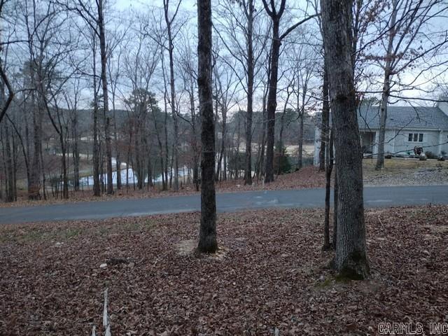 71 Gancho  Hot Springs Village, AR