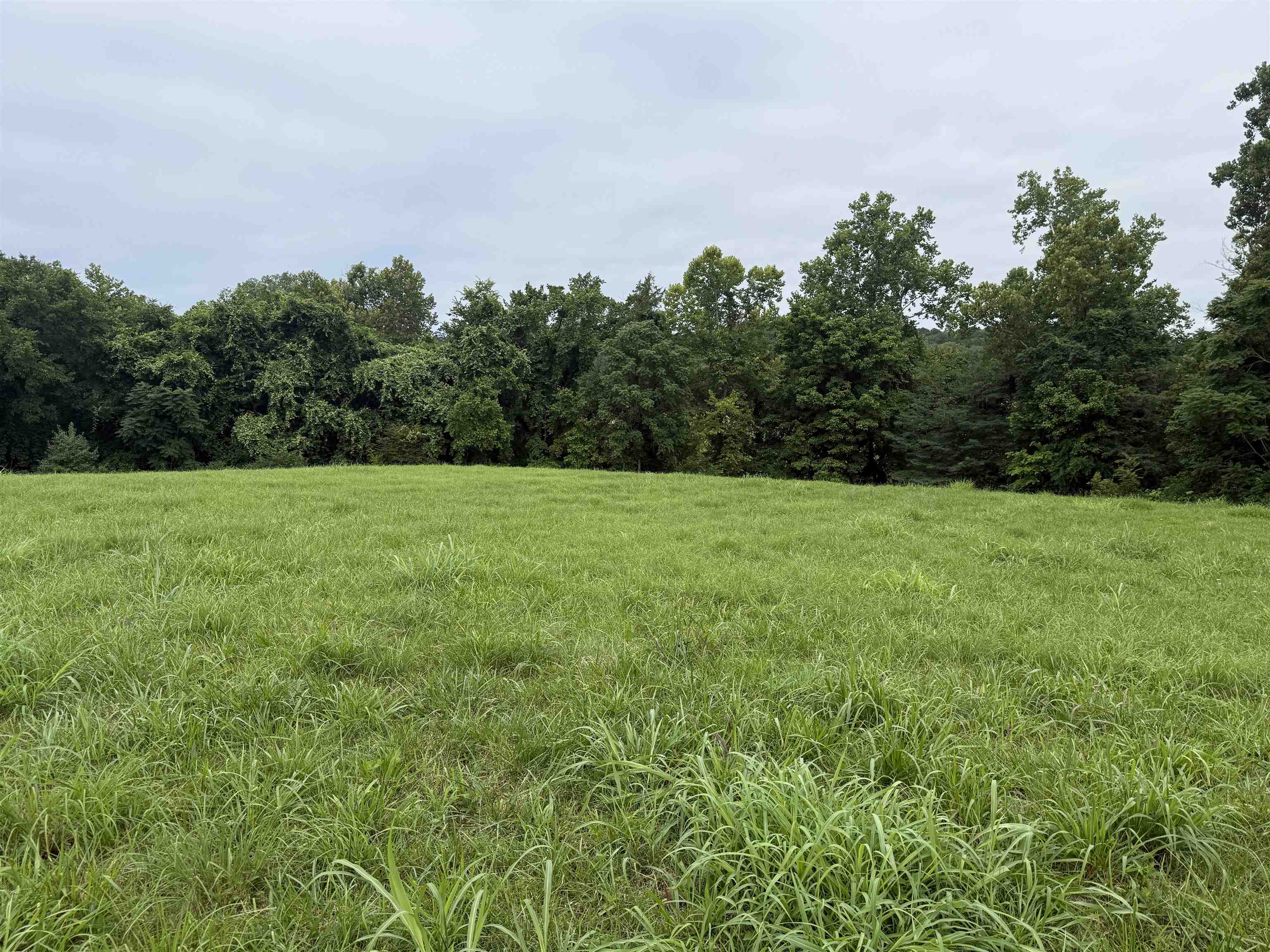 6 Allure Lane  Mountain View, AR