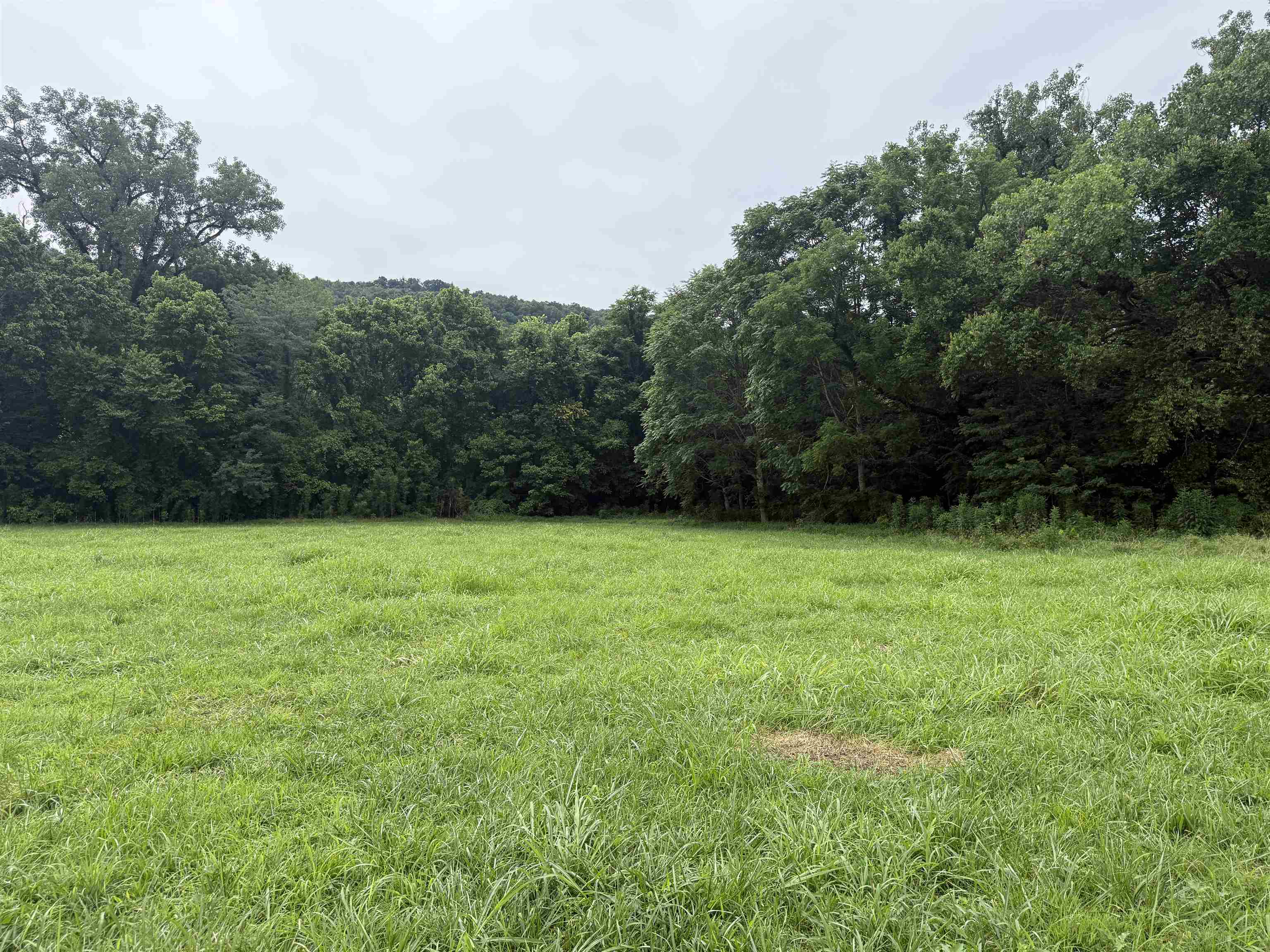 6 Allure Lane  Mountain View, AR