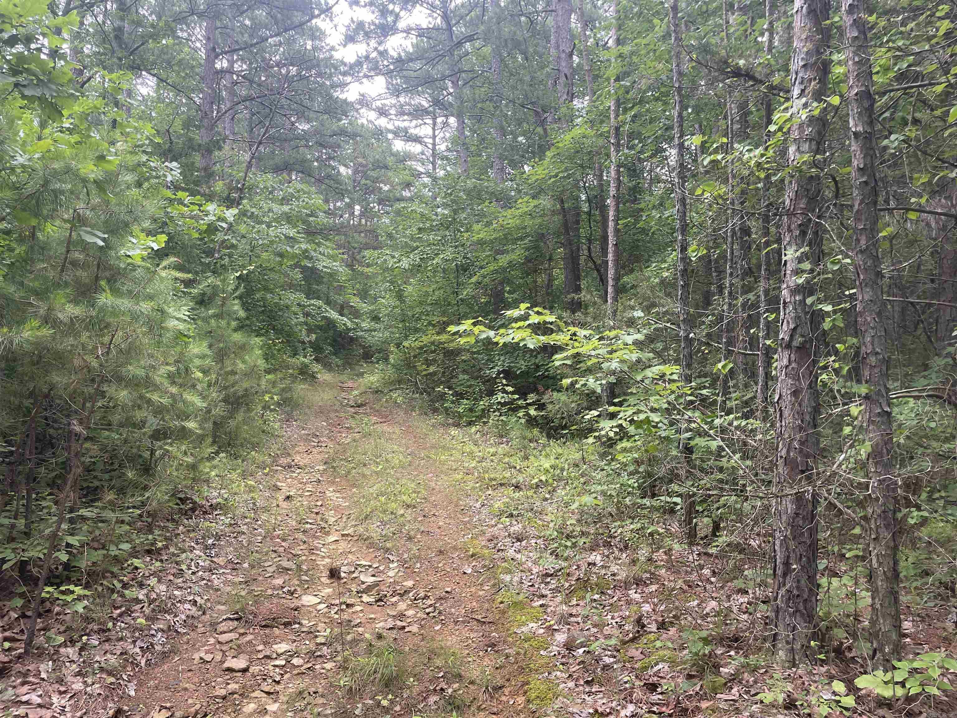 000 Sylvan  Clinton, AR