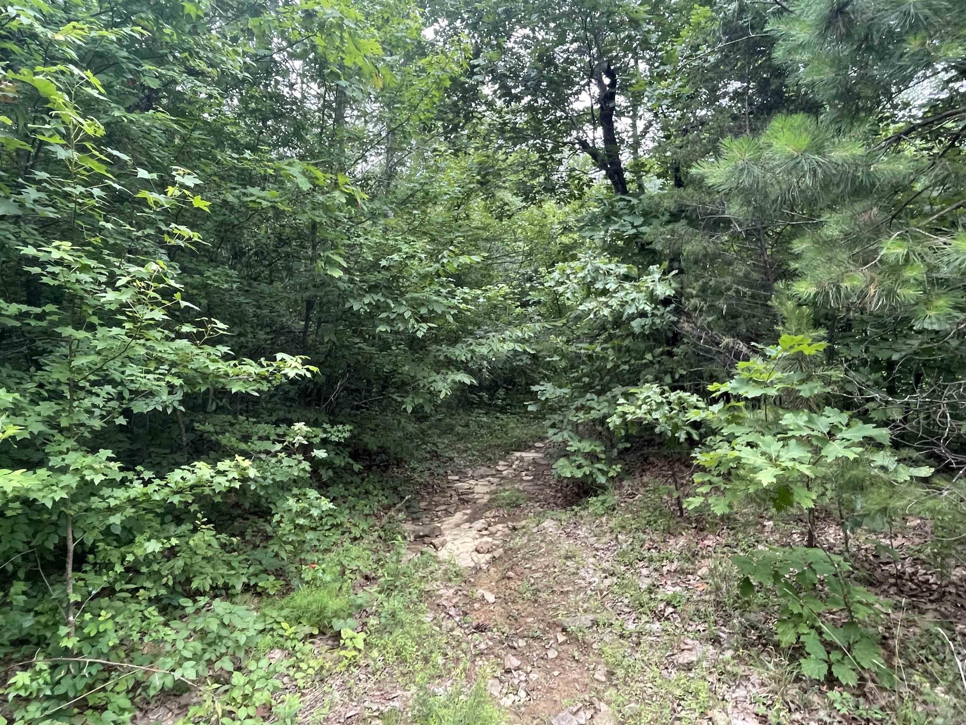 000 Sylvan  Clinton, AR