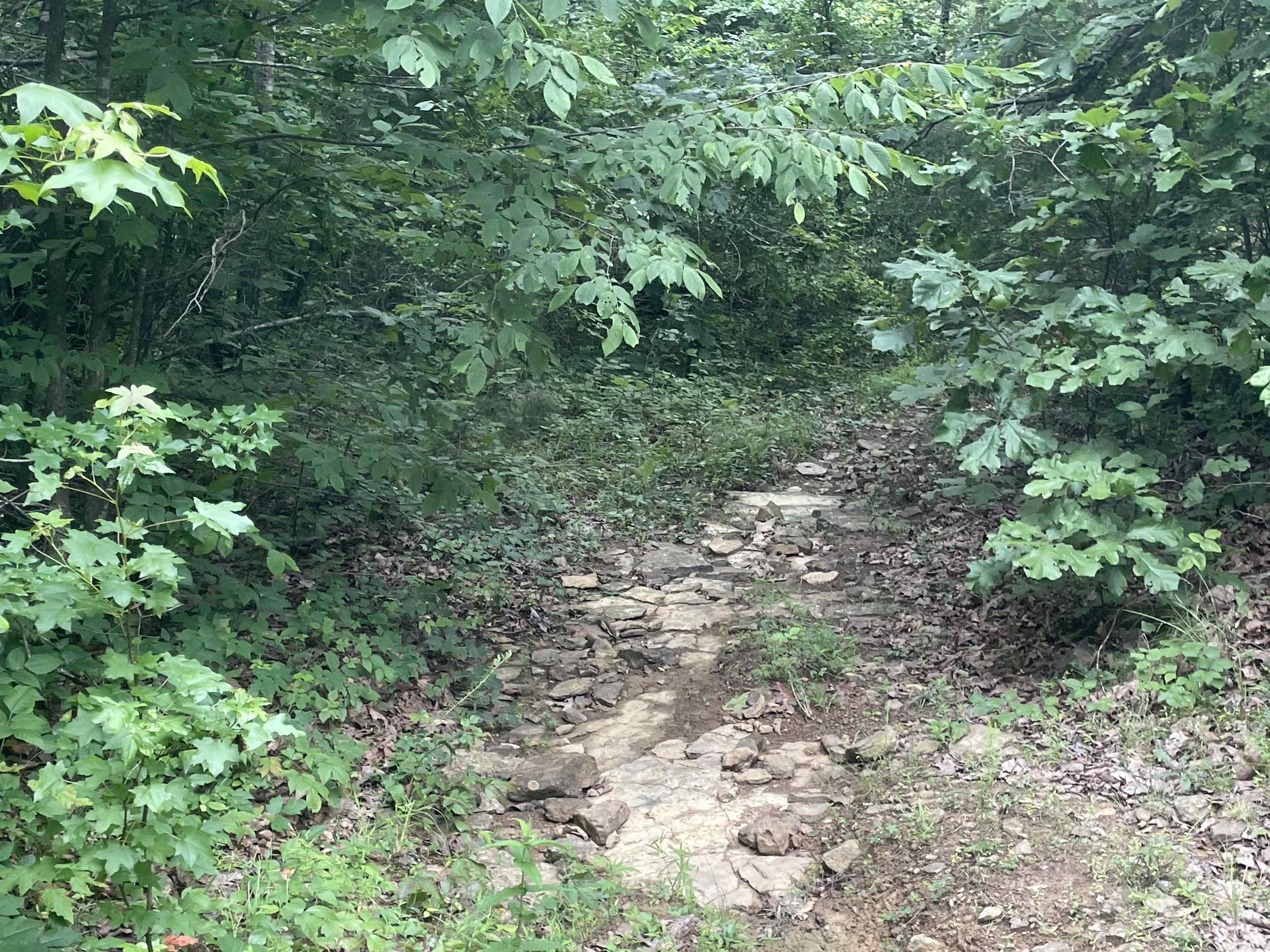 000 Sylvan  Clinton, AR