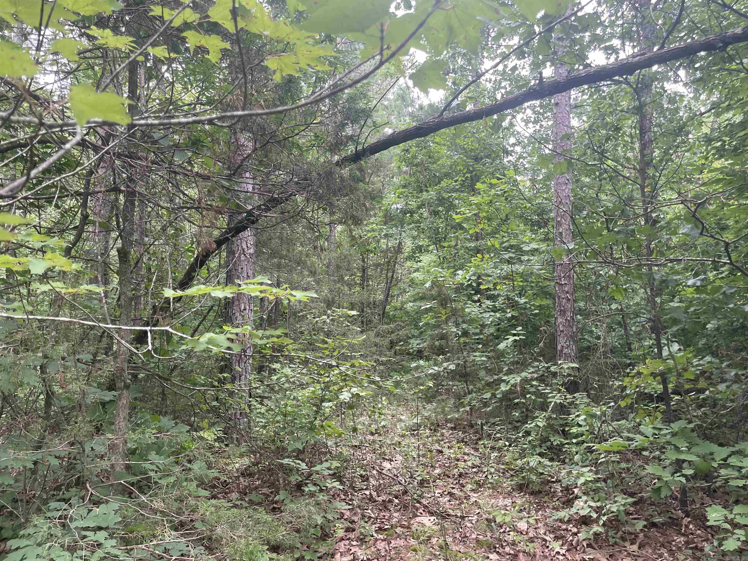 000 Sylvan  Clinton, AR