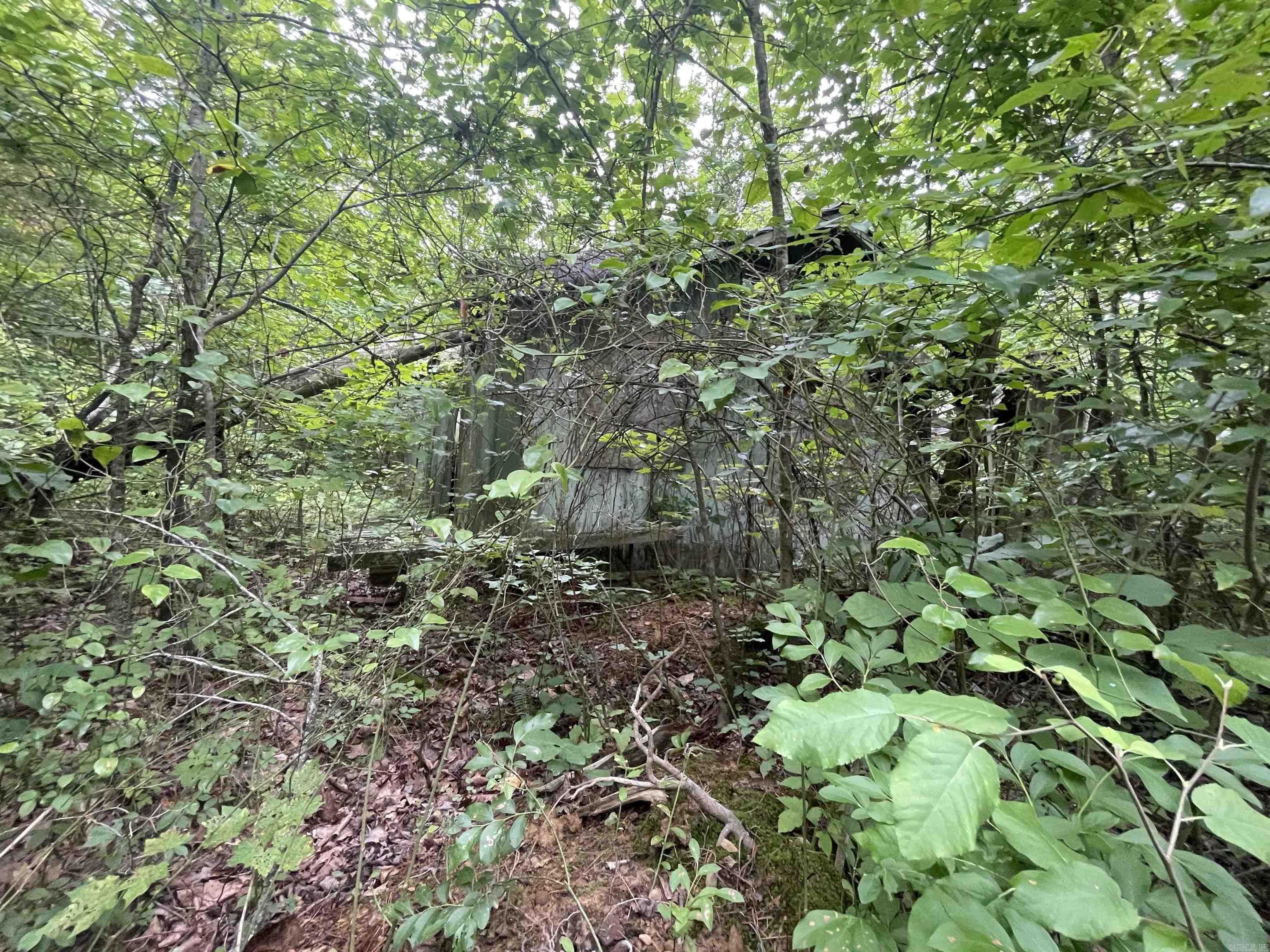 000 Sylvan  Clinton, AR