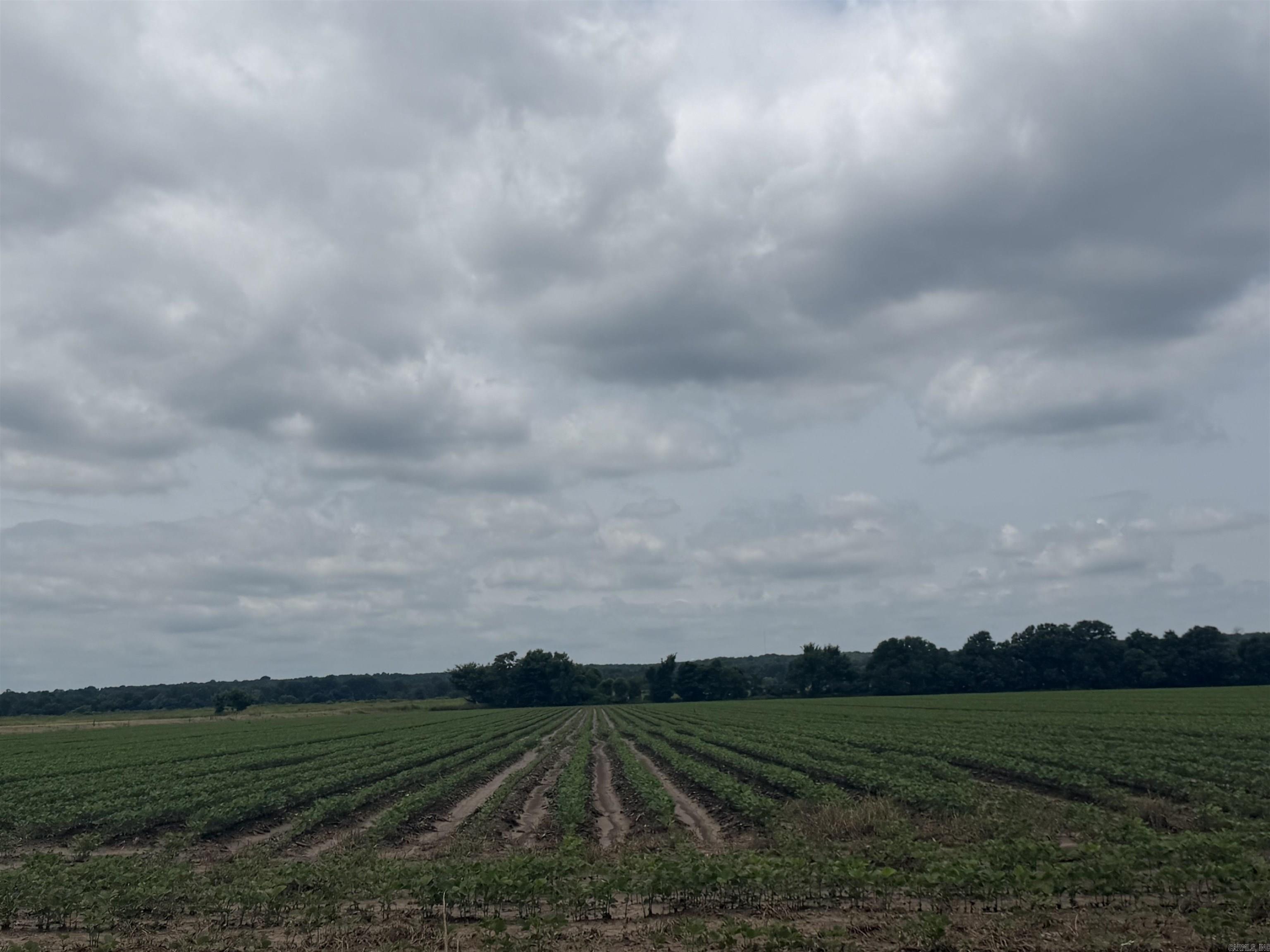 77.7 Acres Pineview Rd/Benson Ln  Trumann, AR