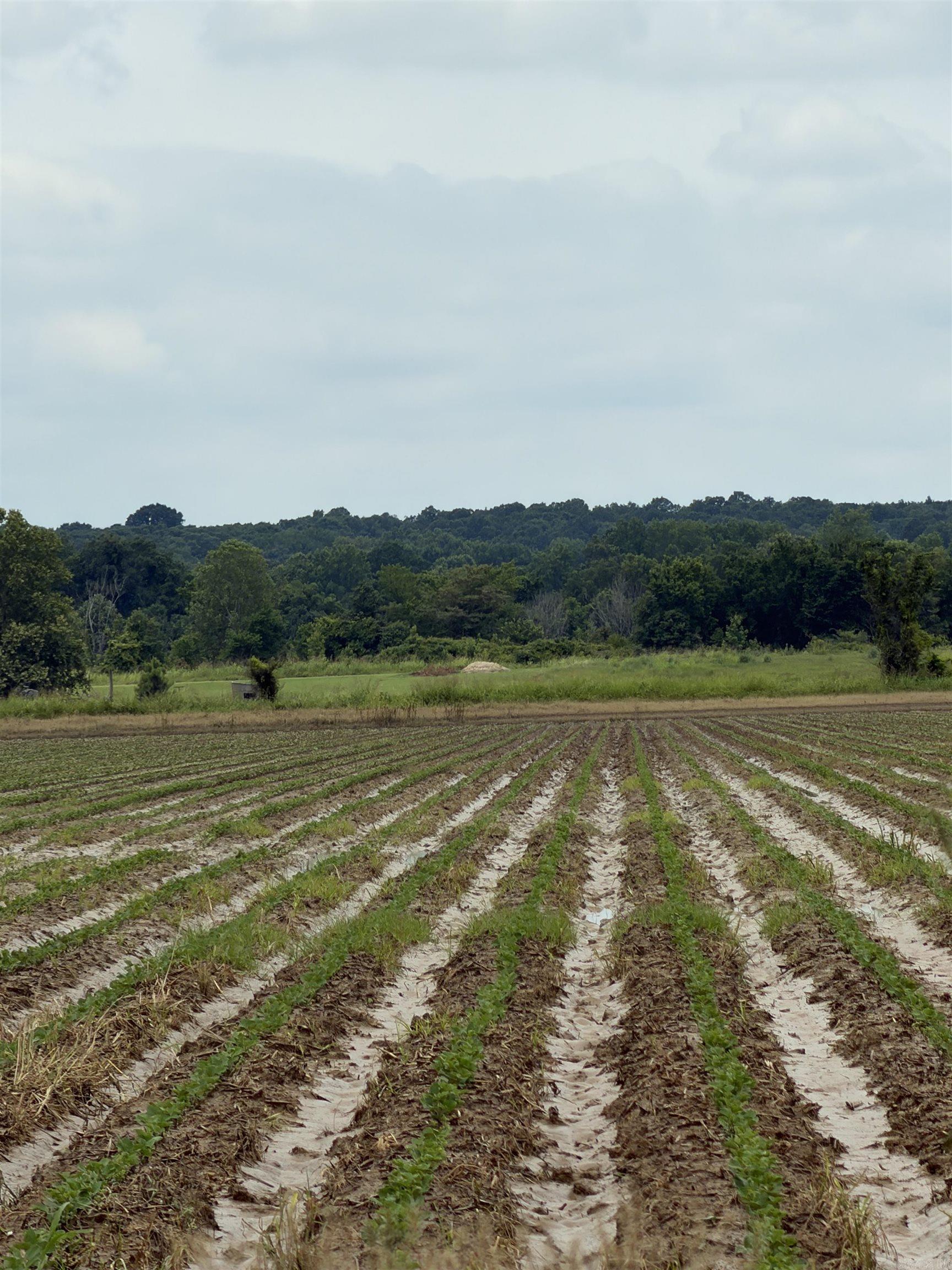 77.7 Acres Pineview Rd/Benson Ln  Trumann, AR