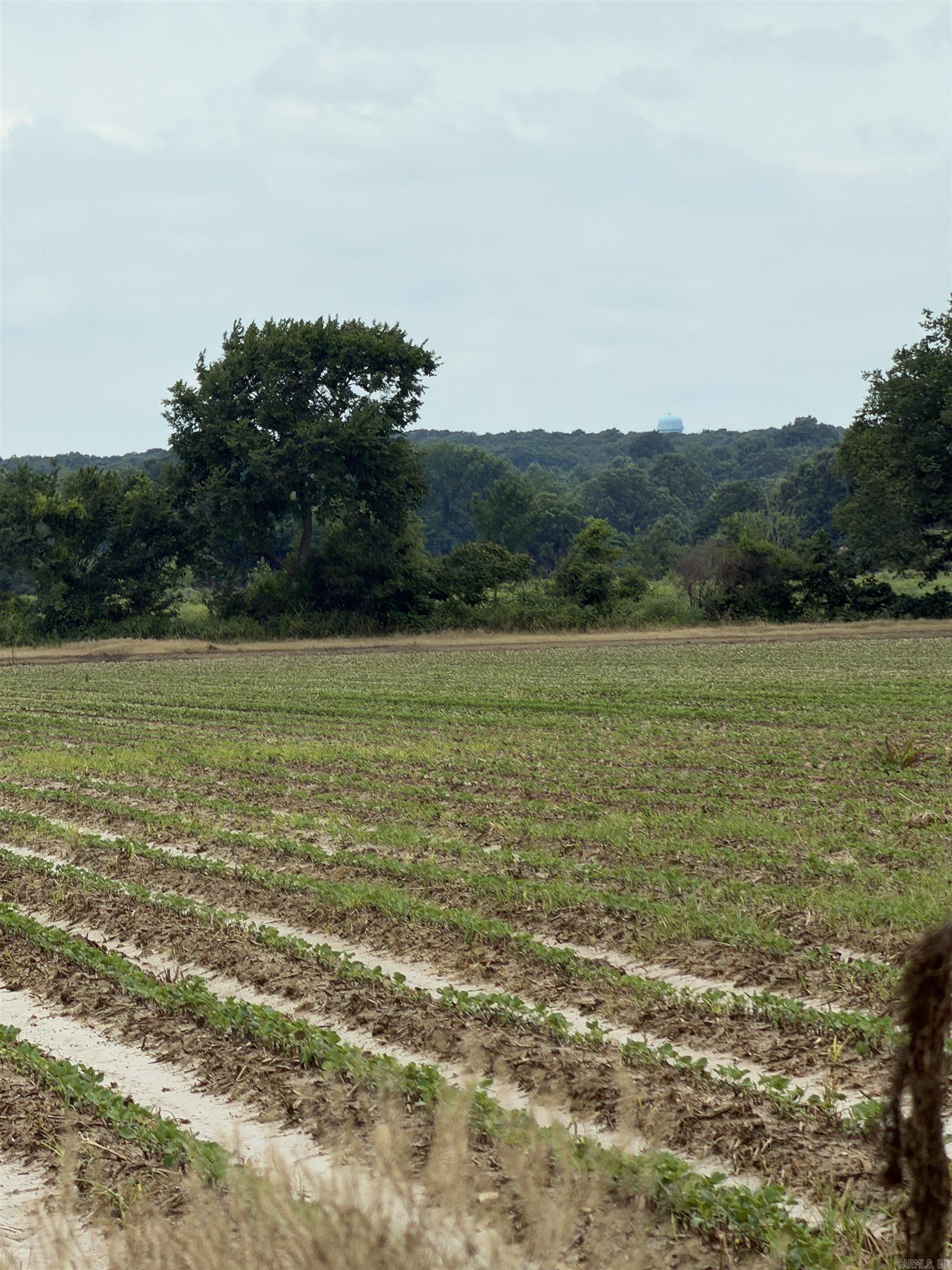 77.7 Acres Pineview Rd/Benson Ln  Trumann, AR