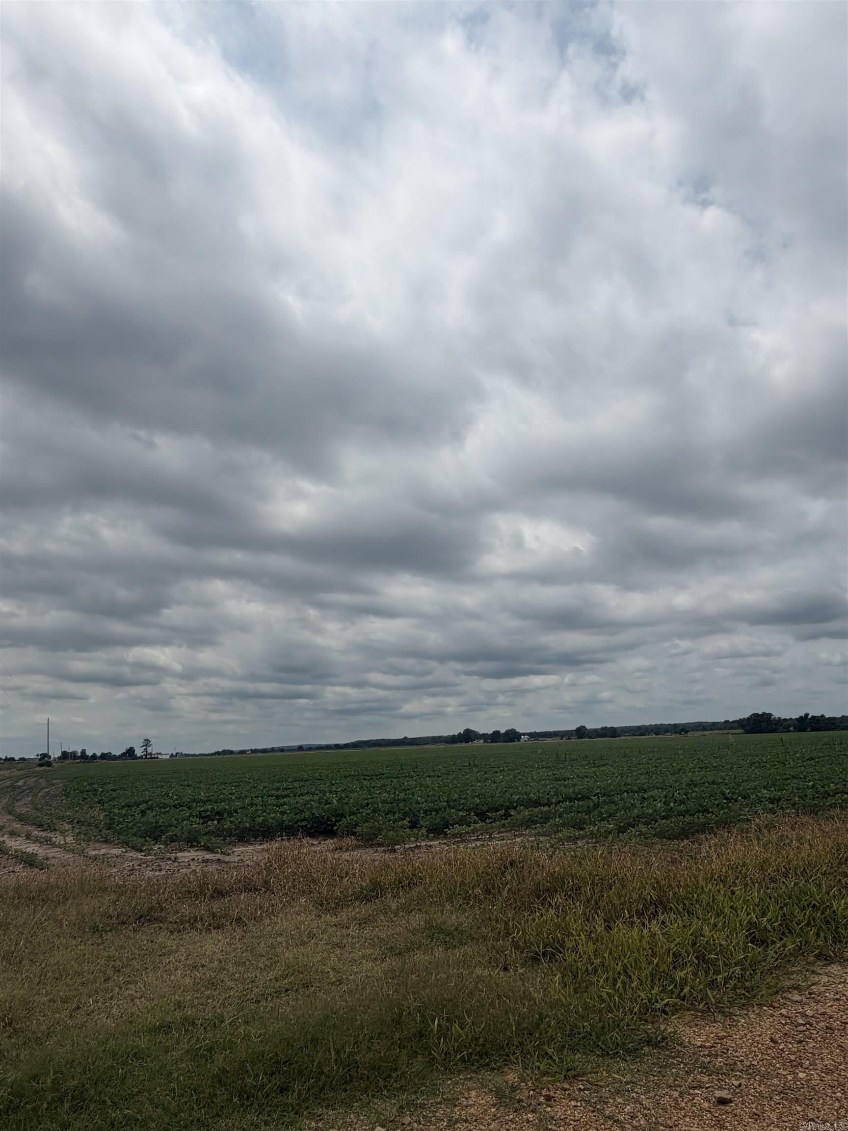 77.7 Acres Pineview Rd/Benson Ln  Trumann, AR