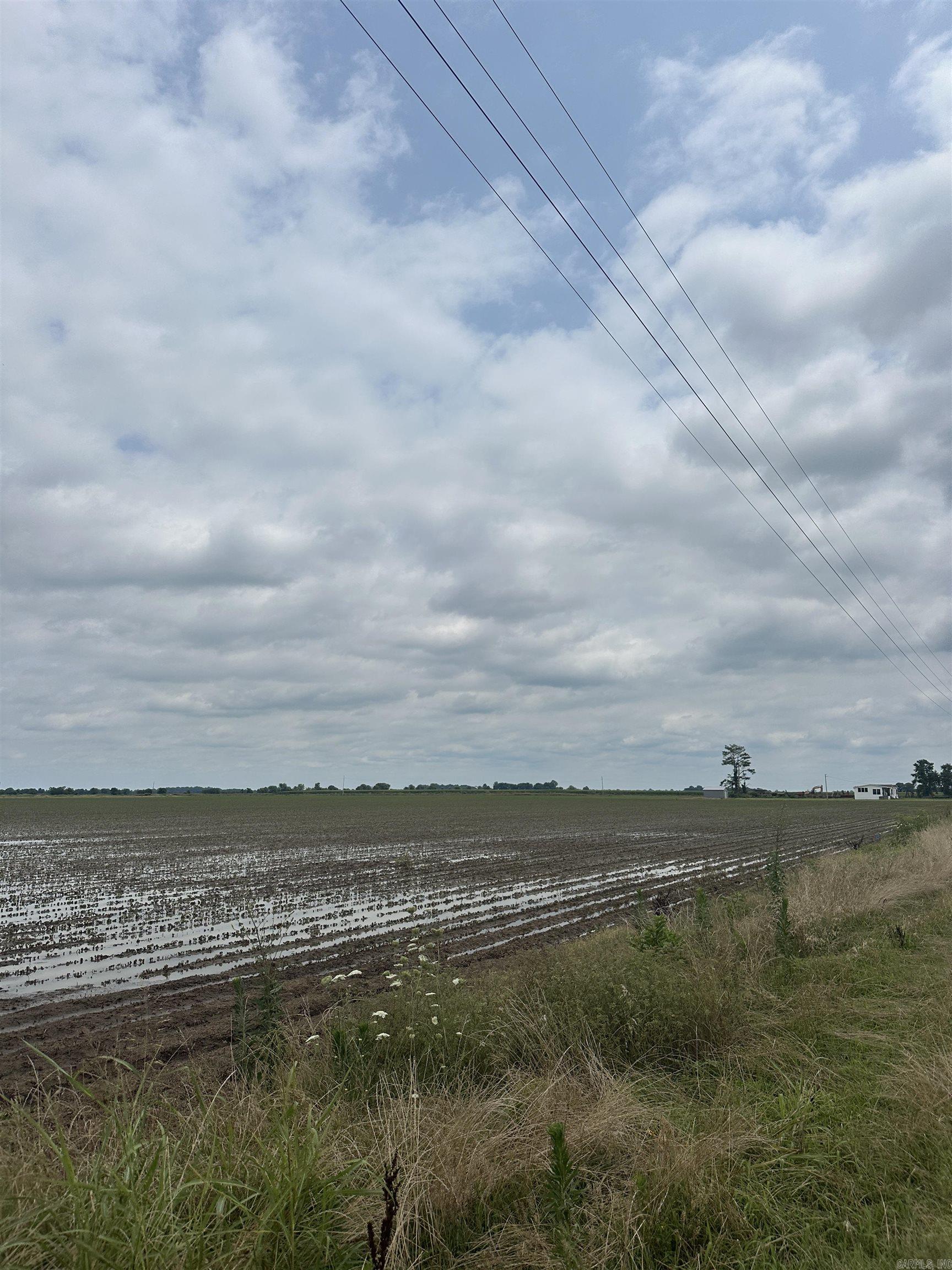 77.7 Acres Pineview Rd/Benson Ln  Trumann, AR
