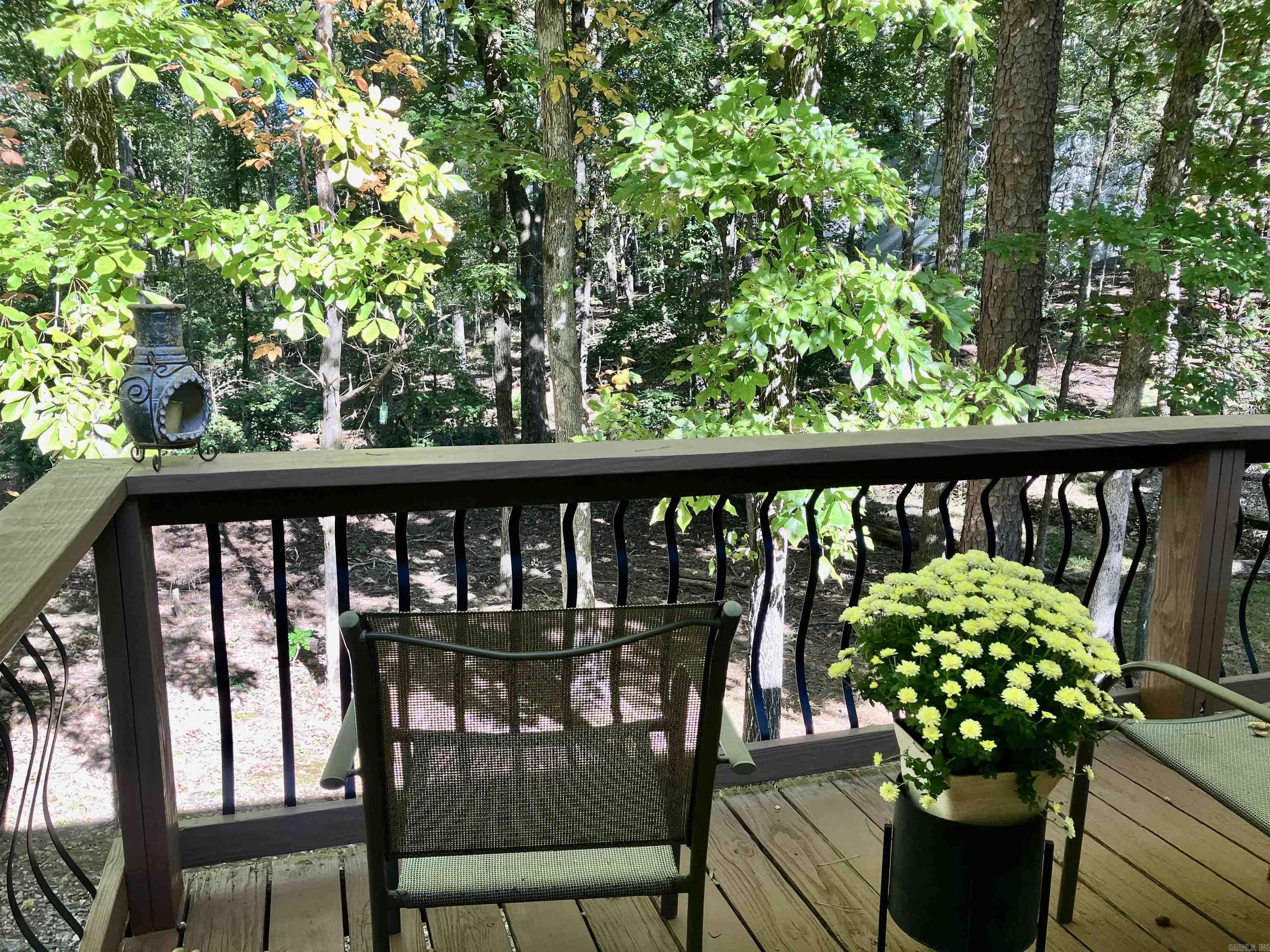 12 Segovia Dr  Hot Springs Village, AR