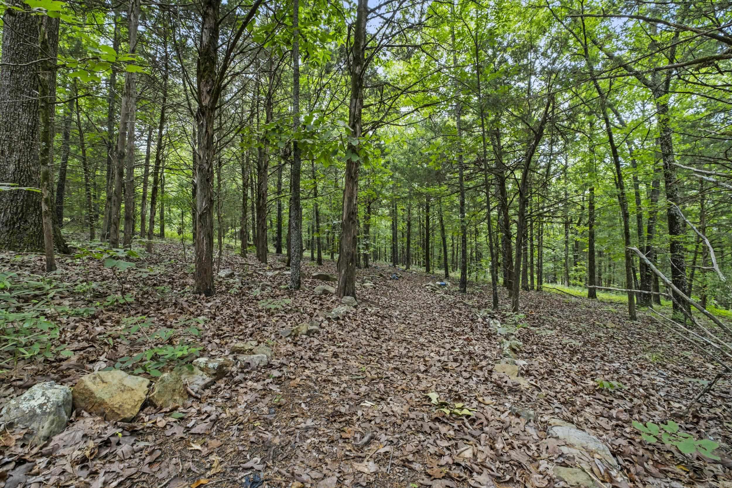 38 Cheyenne Trail  Sherwood, AR